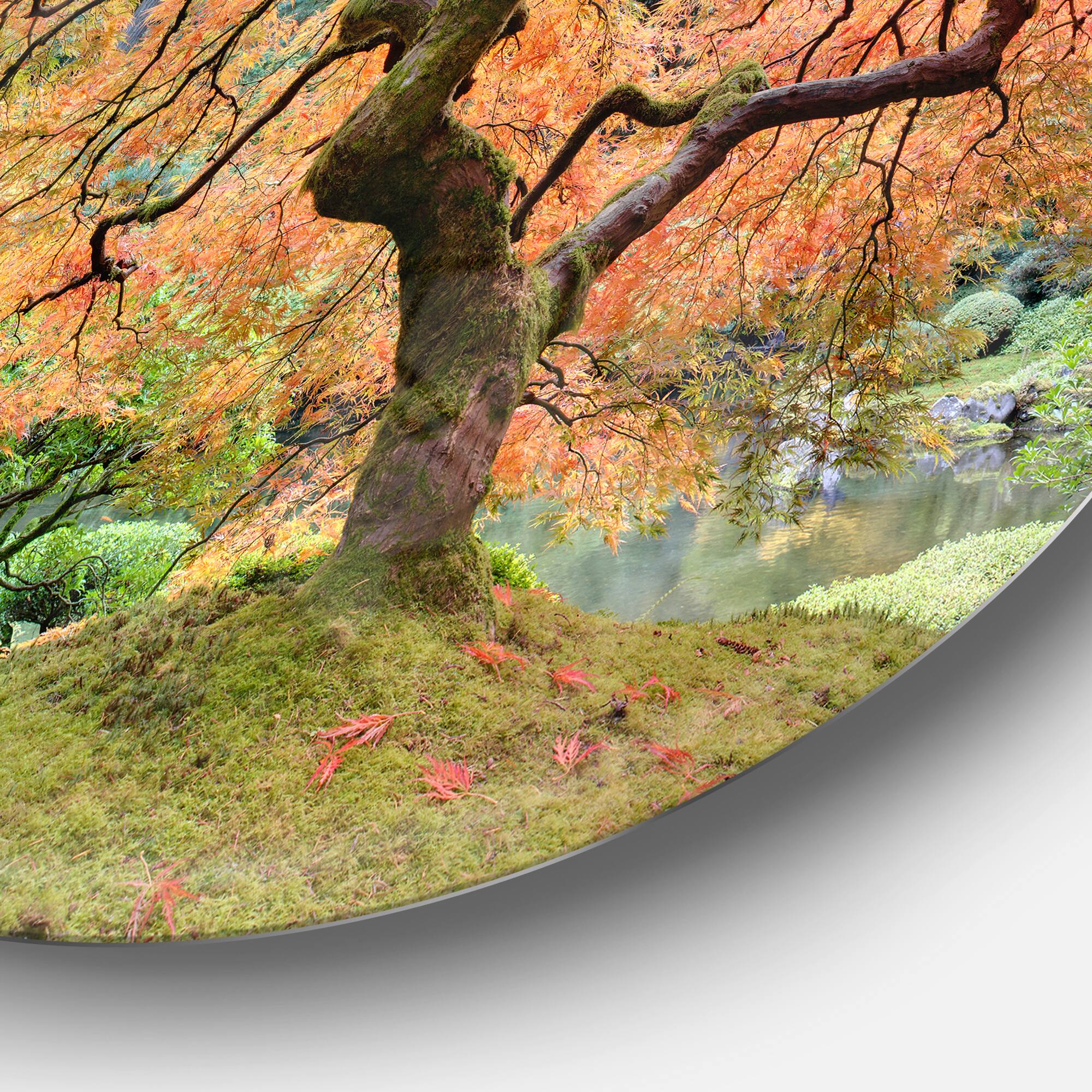 Designart - Old Japanese Maple Tree&#x27; Disc Landscape Photography Circle Metal Wall Art