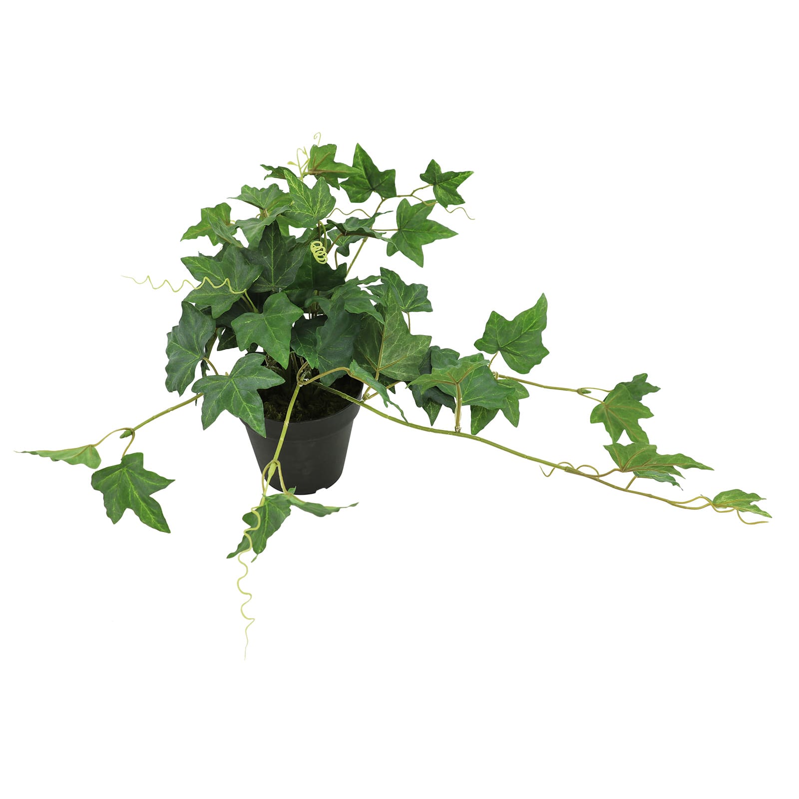 18&#x22; Dripping Ivy Plant by Ashland&#xAE;