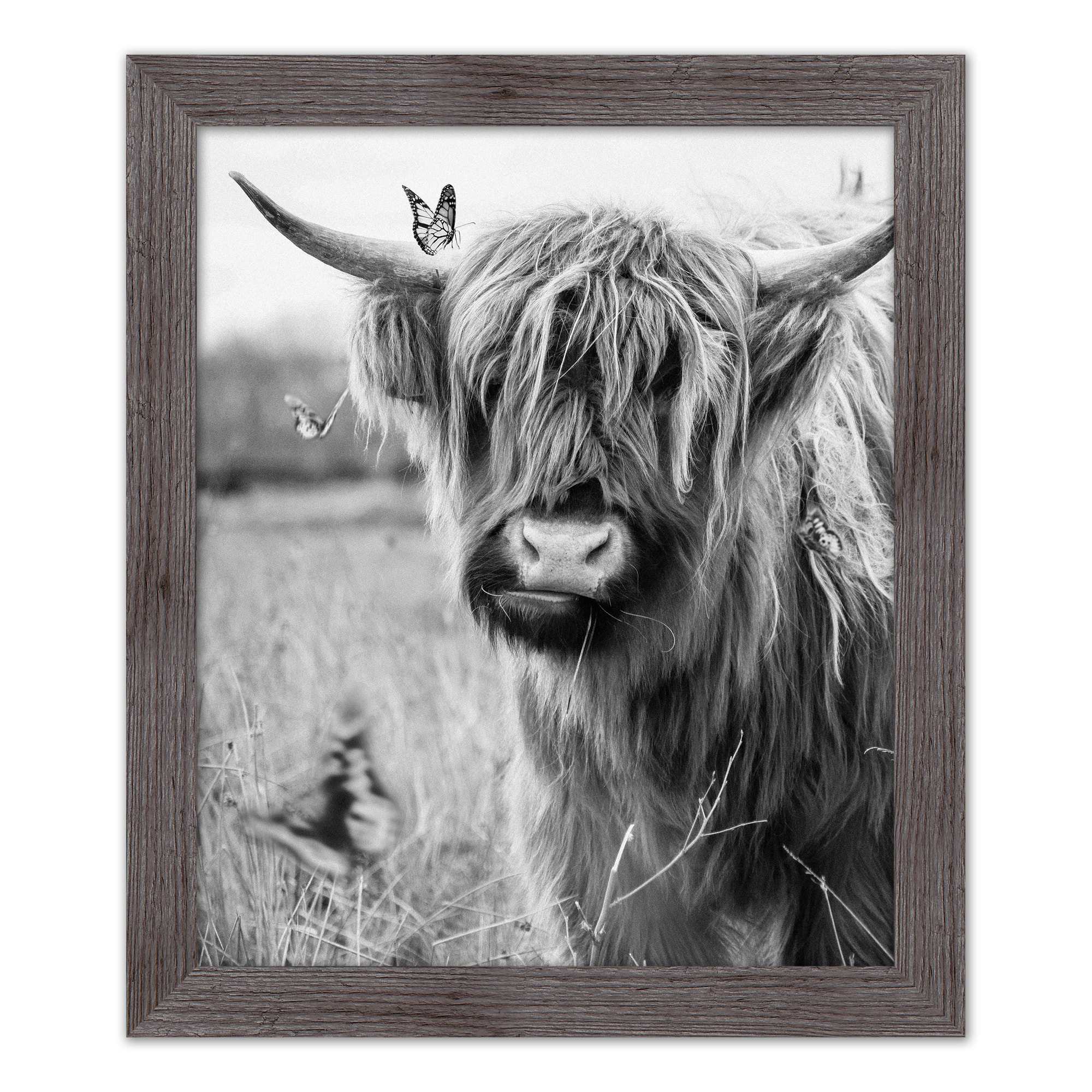 Black and White Highland Cow 20&#x22; x 24&#x22; Western Gray Framed Print