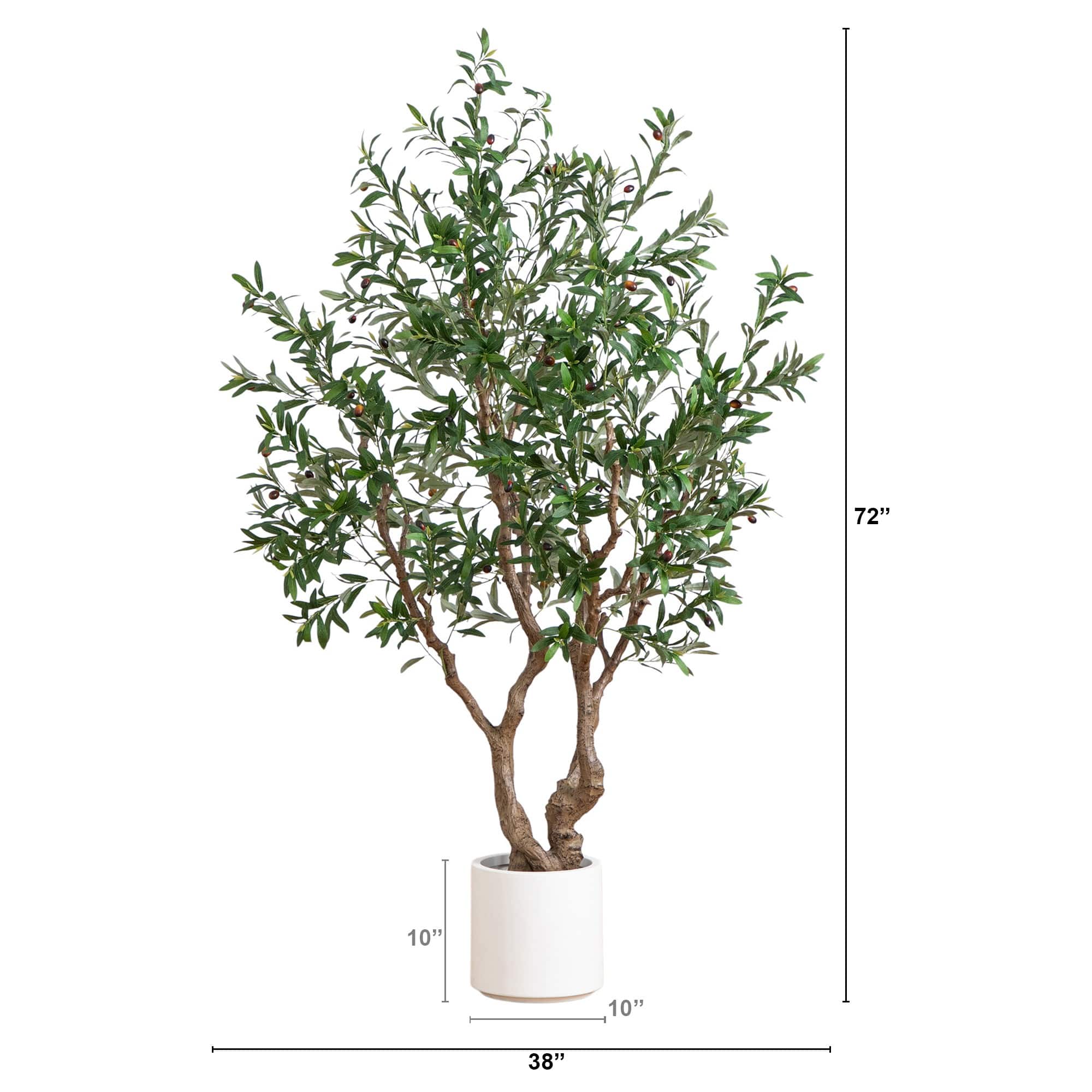 6ft. Artificial Grand Olive Tree in White Decorative Planter