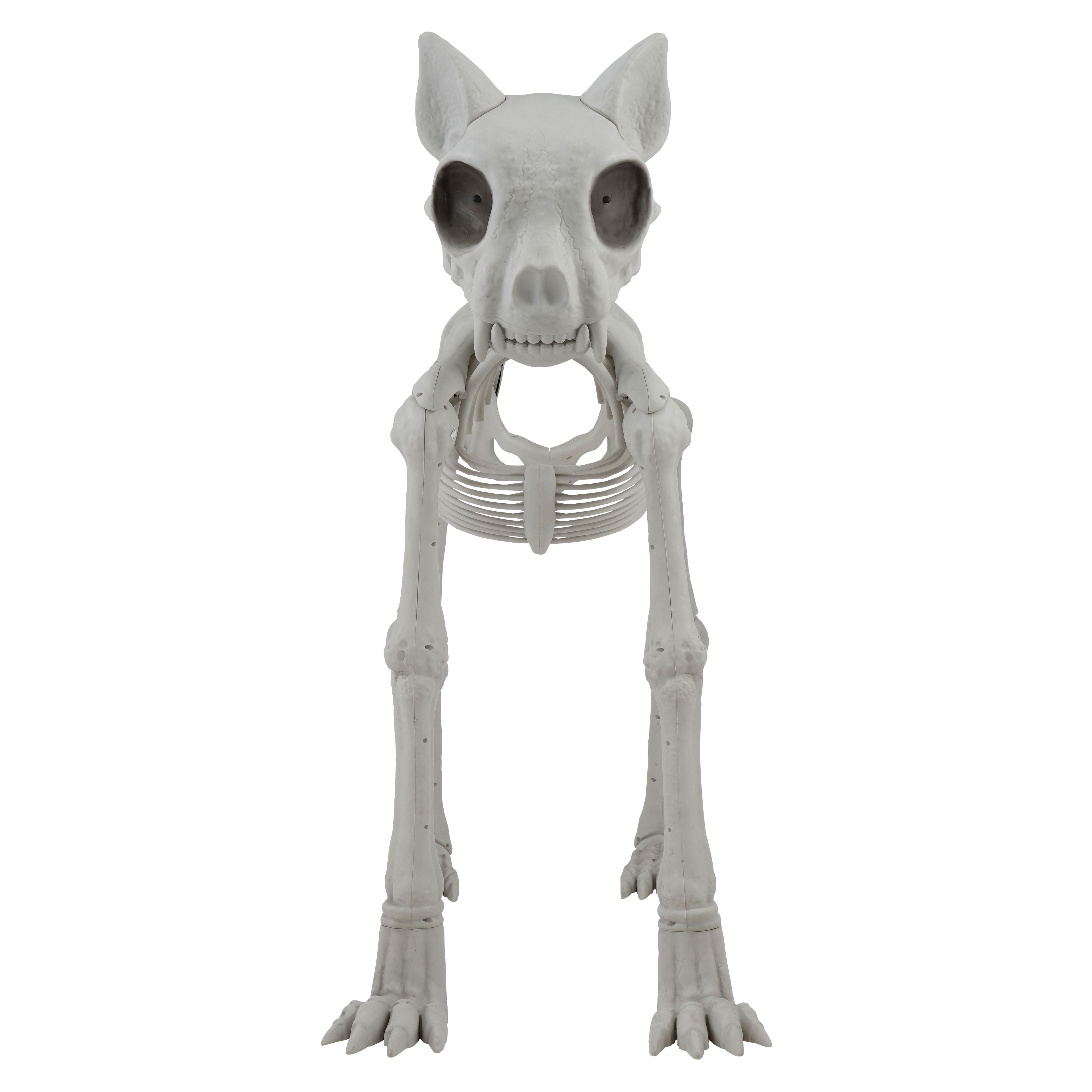 5ft. Oversized Posable Cat Skeleton by Ashland&#xAE;