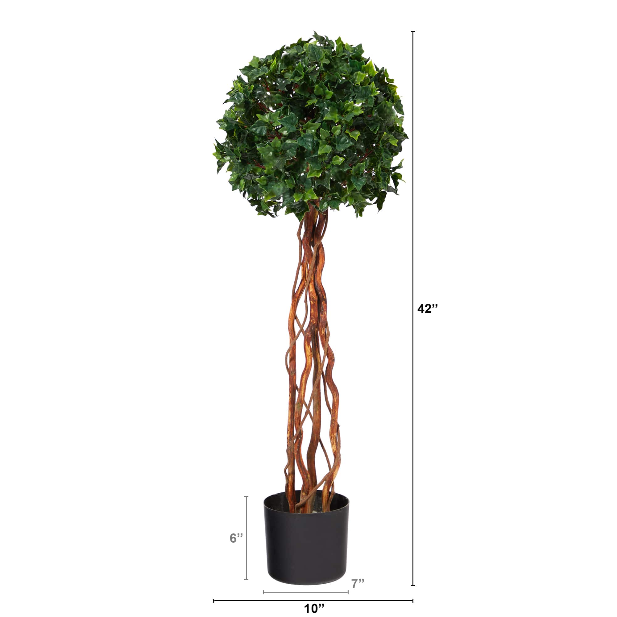 3.5ft. Potted English Ivy Ball Topiary Tree
