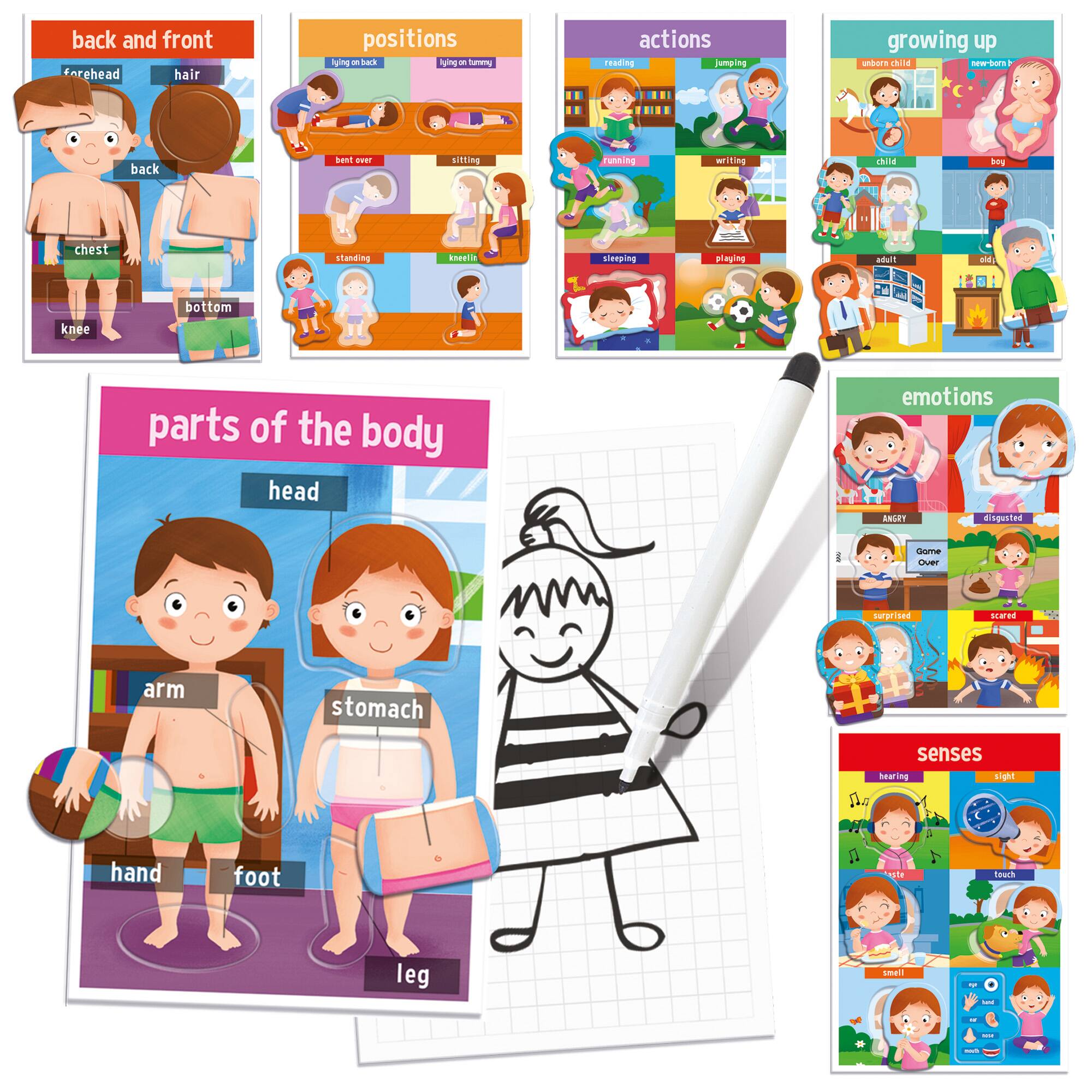 Headu How We Are Made My First Human Body Game