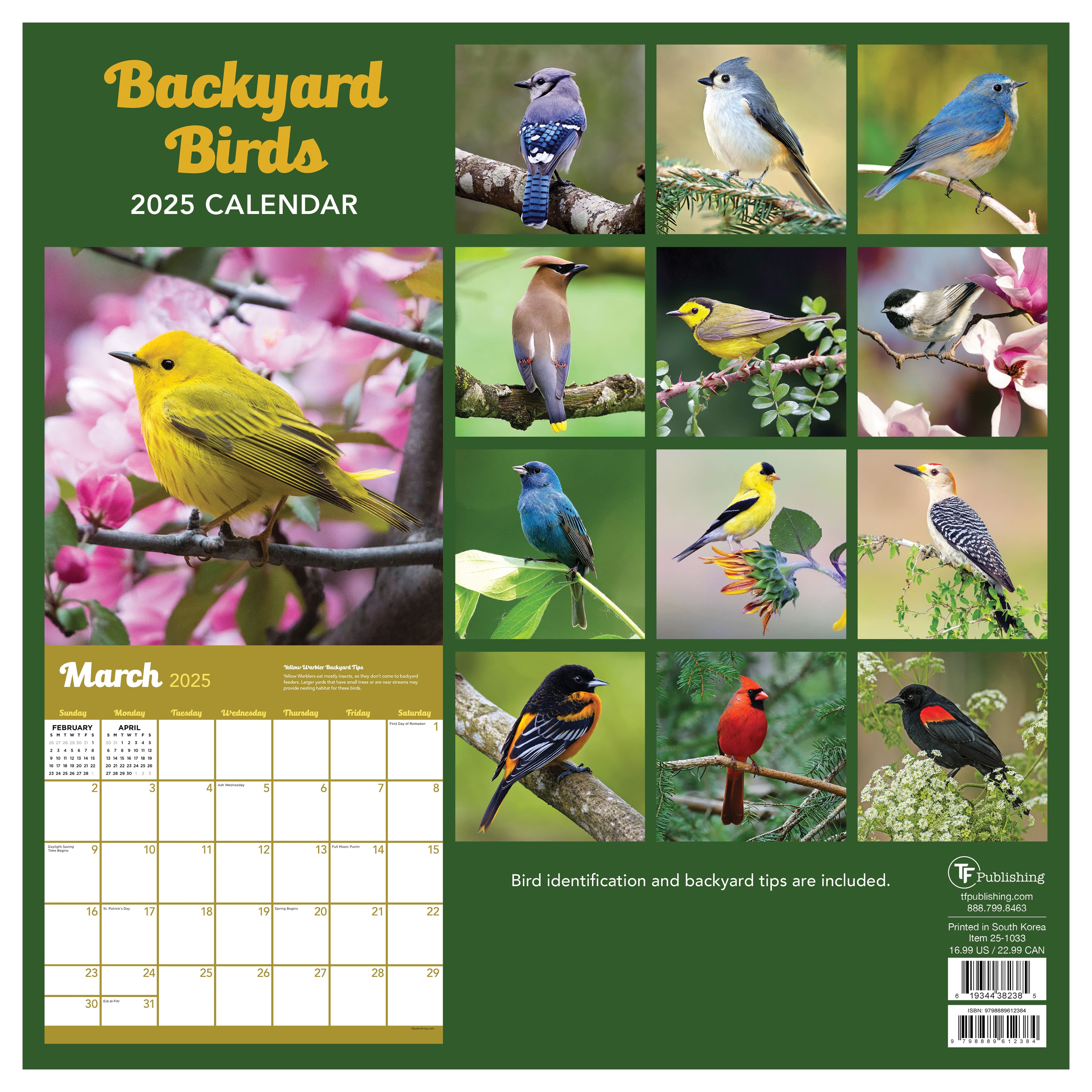 TF Publishing 2025 Backyard Birds Wall Calendar