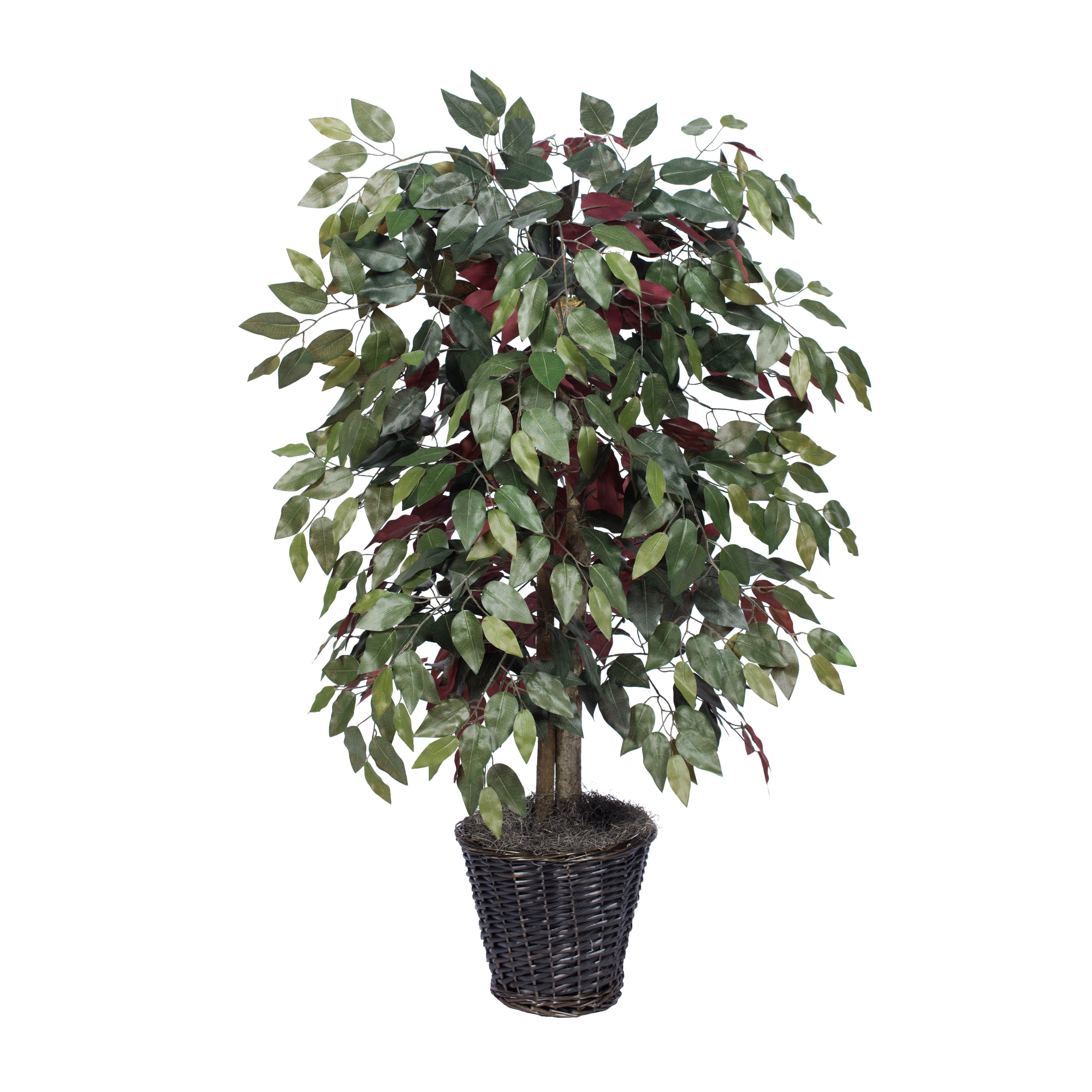 4ft. Artificial Capensia Bush with Rattan Basket