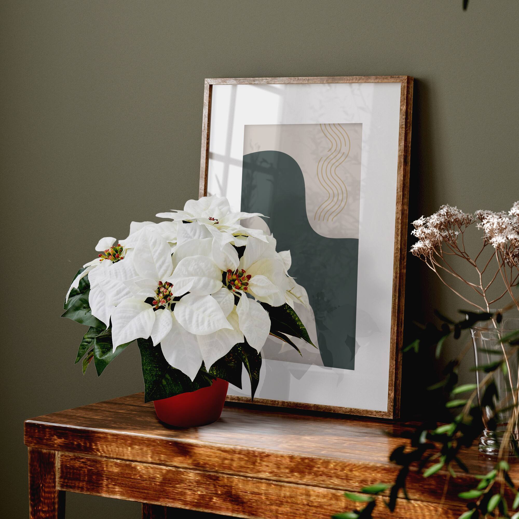12&#x22; Potted White Poinsettia Set