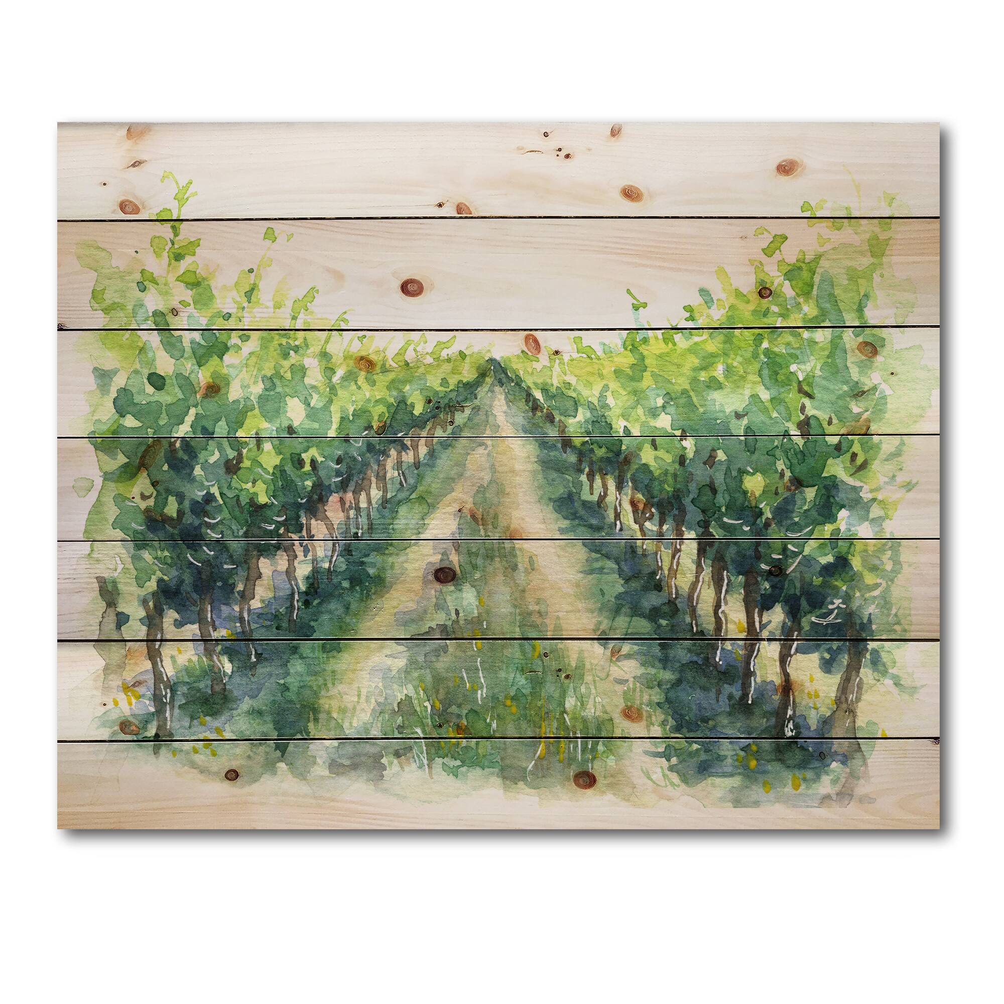 Designart - Rural Scene Vineyard Road - Traditional Print on Natural Pine Wood