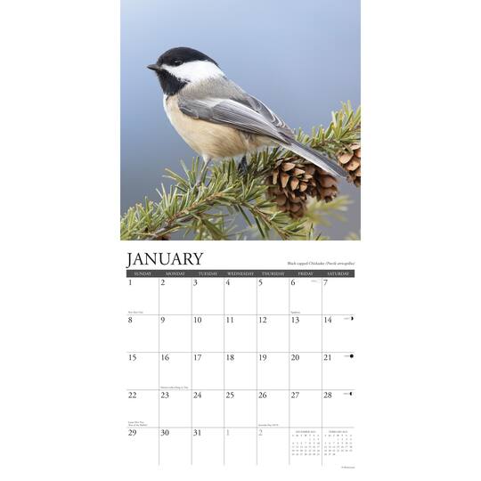 2023 Chickadees Wall Calendar | Michaels