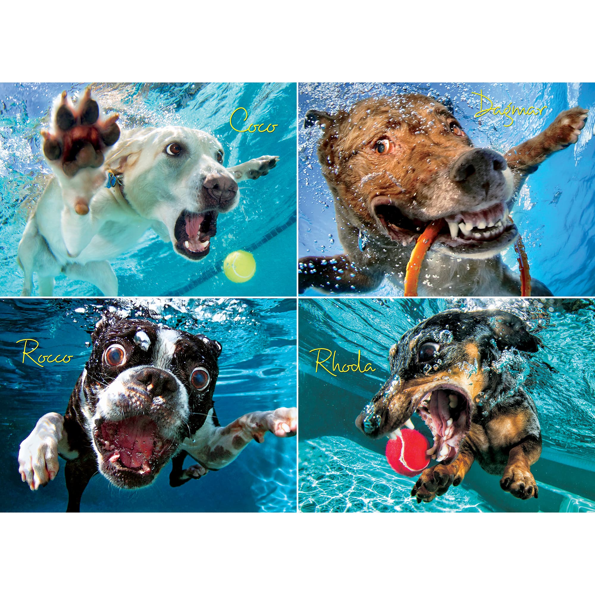 Underwater Dogs: Pool Pawty 1,000 Piece Jigsaw Puzzle