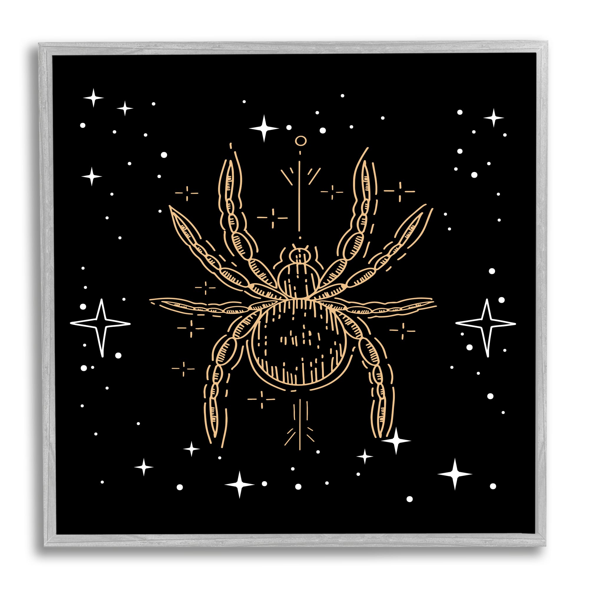 Stupell Industries Starry Halloween Spider Insect Framed Gicl&#xE9;e Wall Art