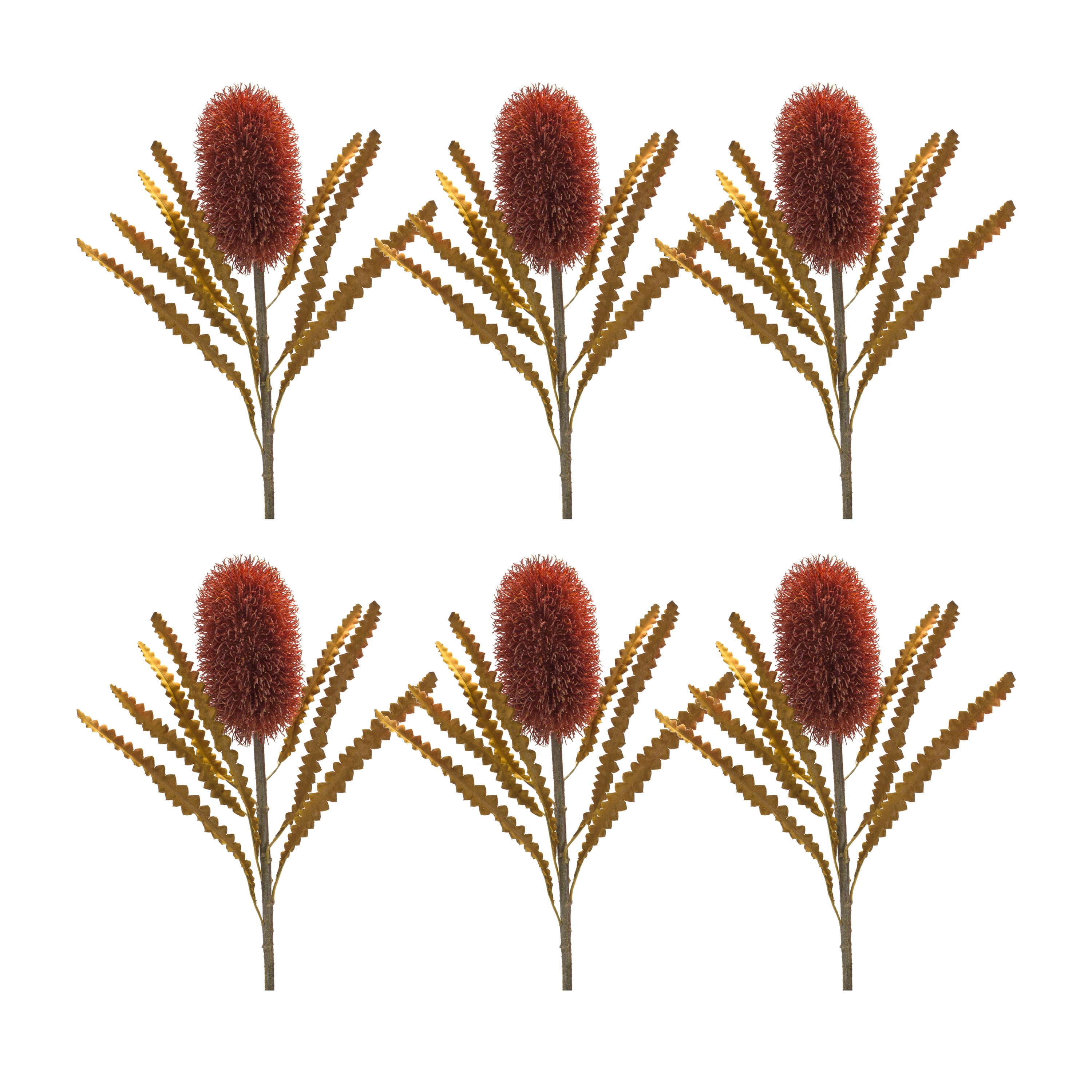 24" Burnt Orange Banksia Floral Stems. 6ct.