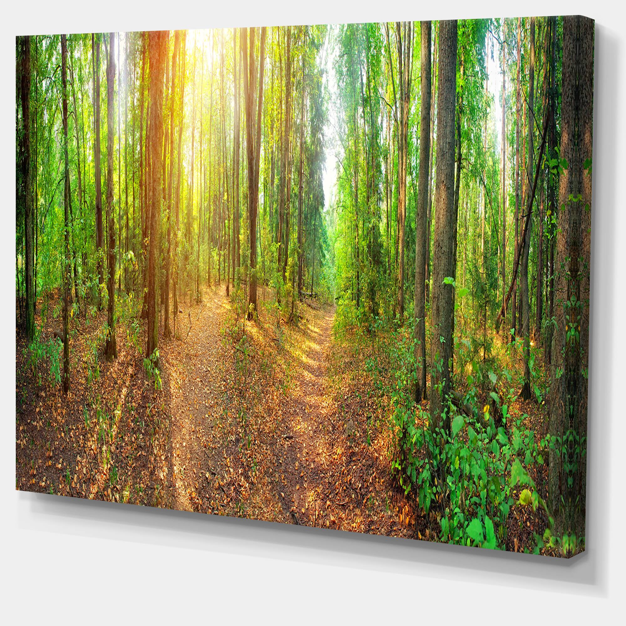 Designart - Dense Forest Panorama - Landscape Canvas Art Print