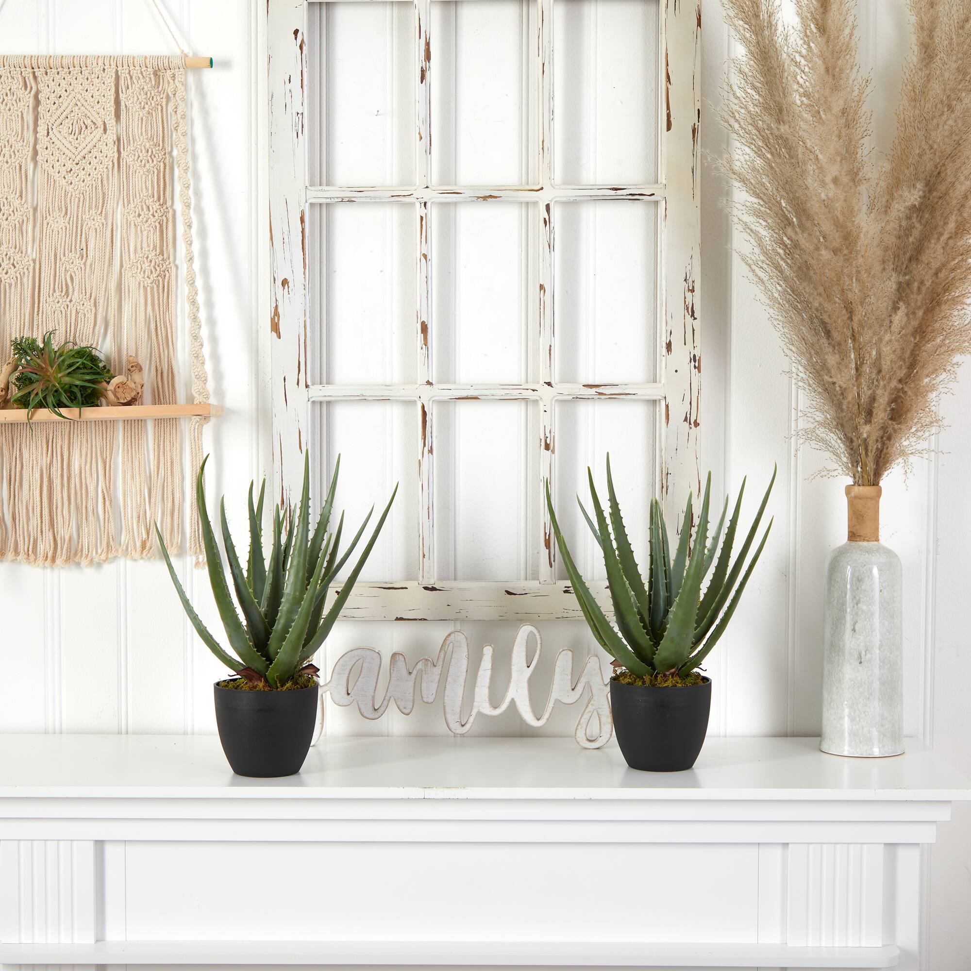 18" Potted Aloe Plant, 2ct.