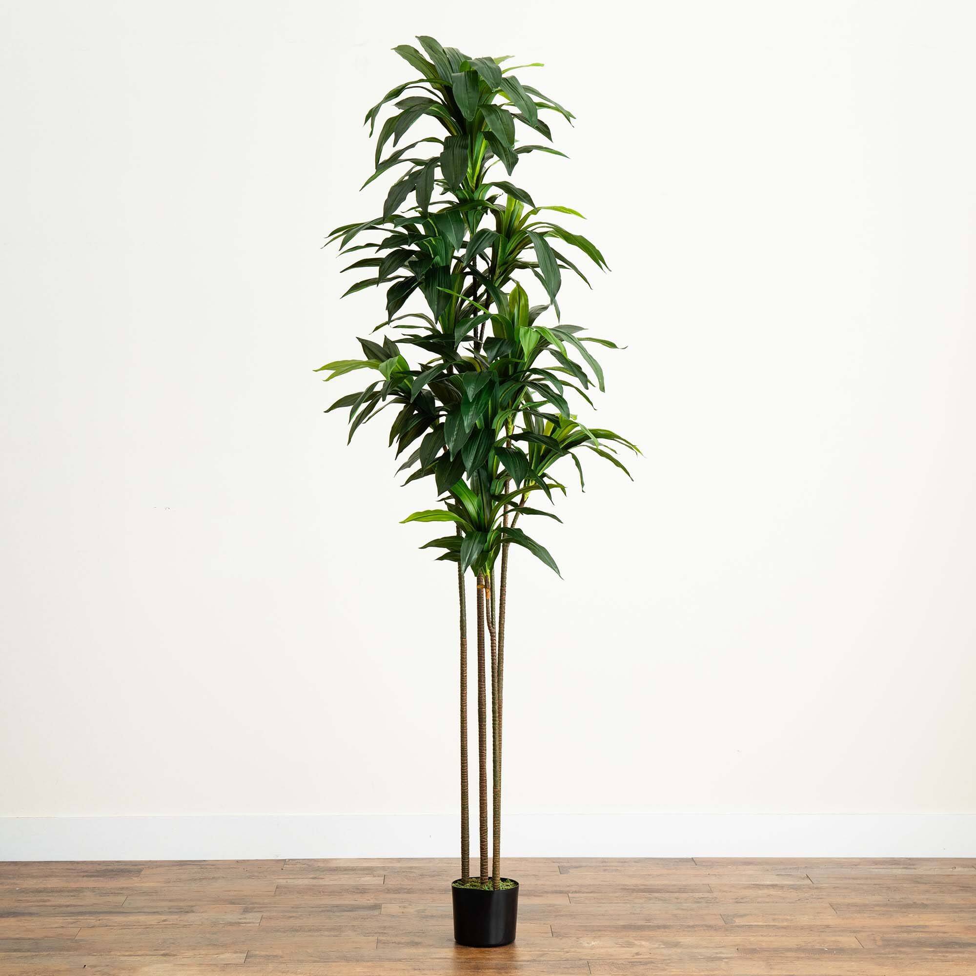 9ft. Potted Green Artificial Dracaena Tree with Real Touch Leaves