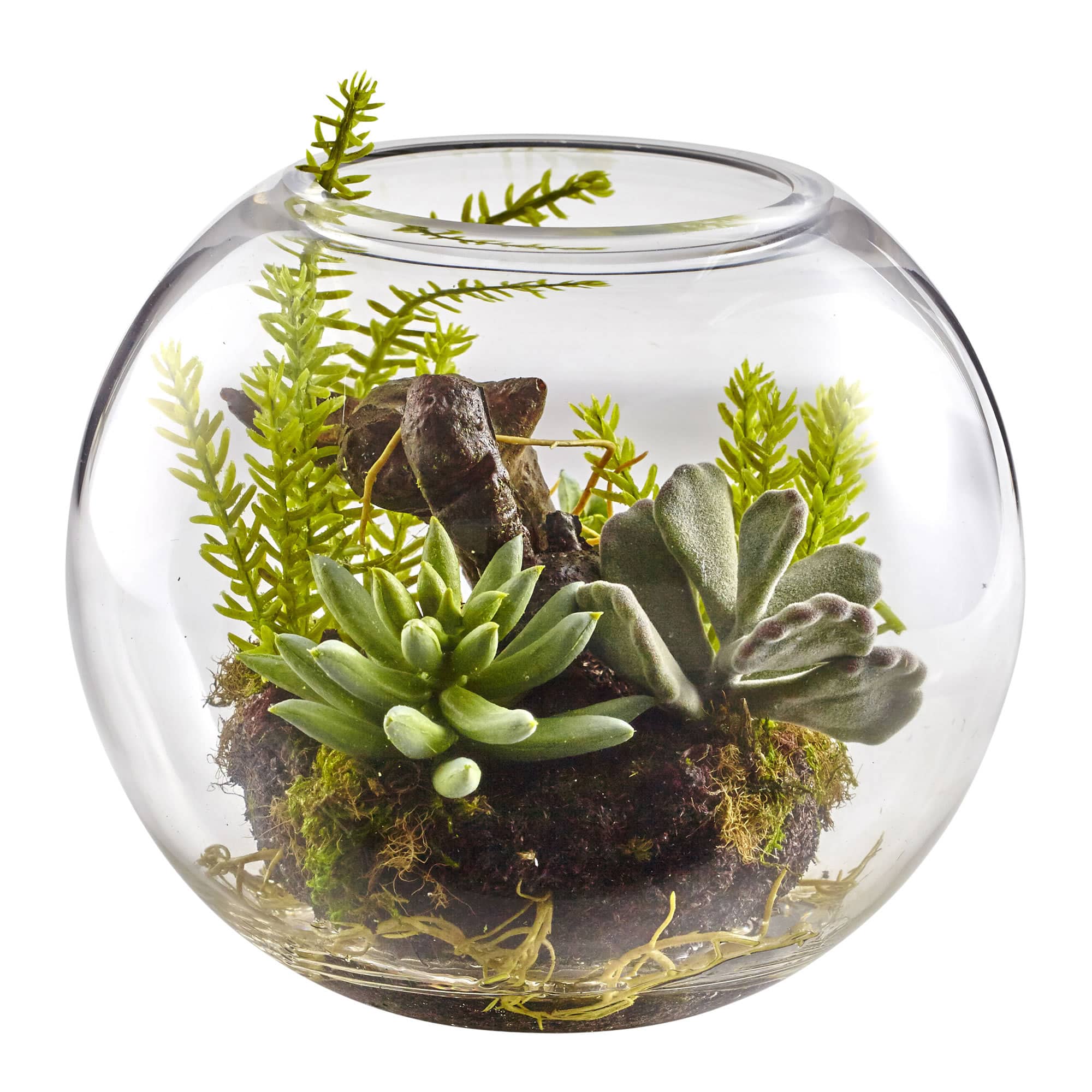 8" Mix Succulent Garden in Glass Vase