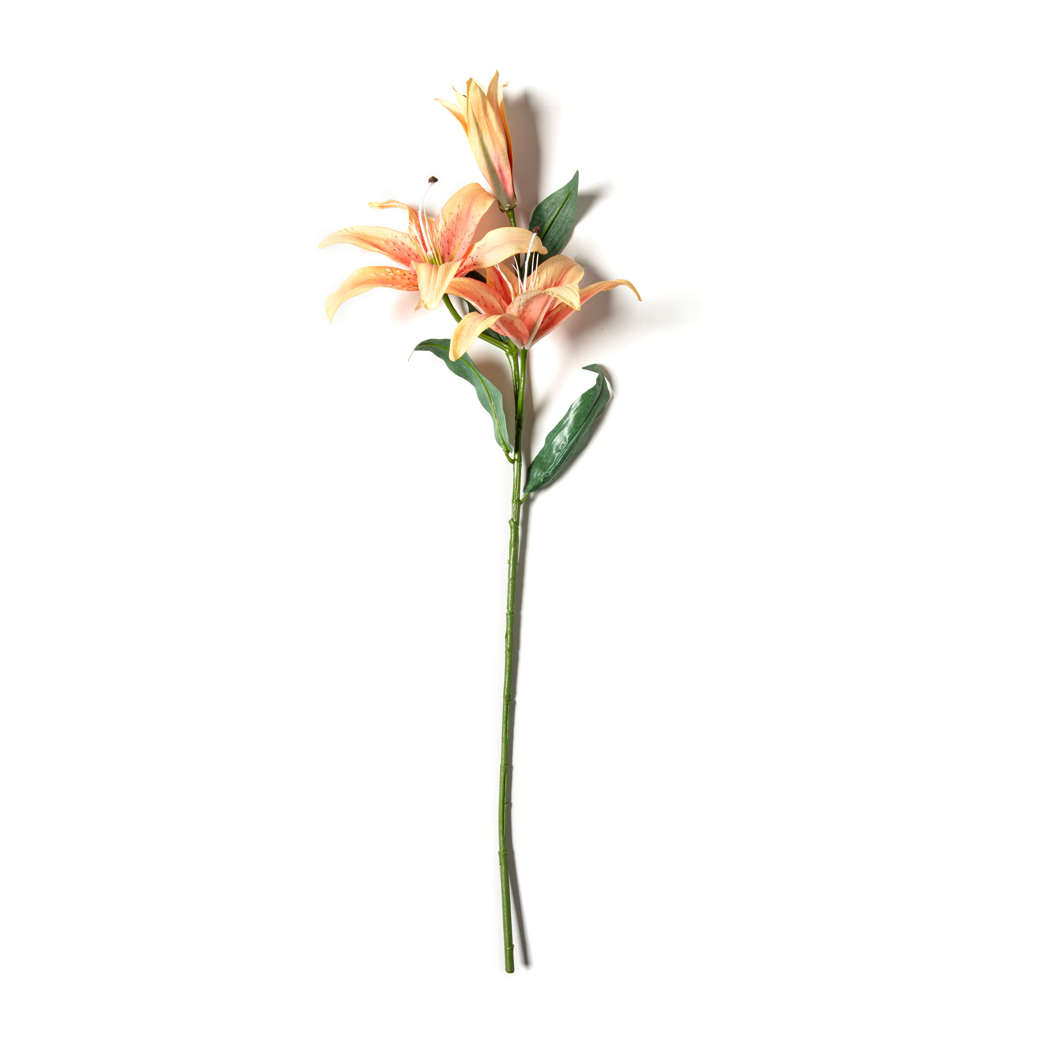 12 Pack: Flame Casablanca Lily Stem by Ashland®