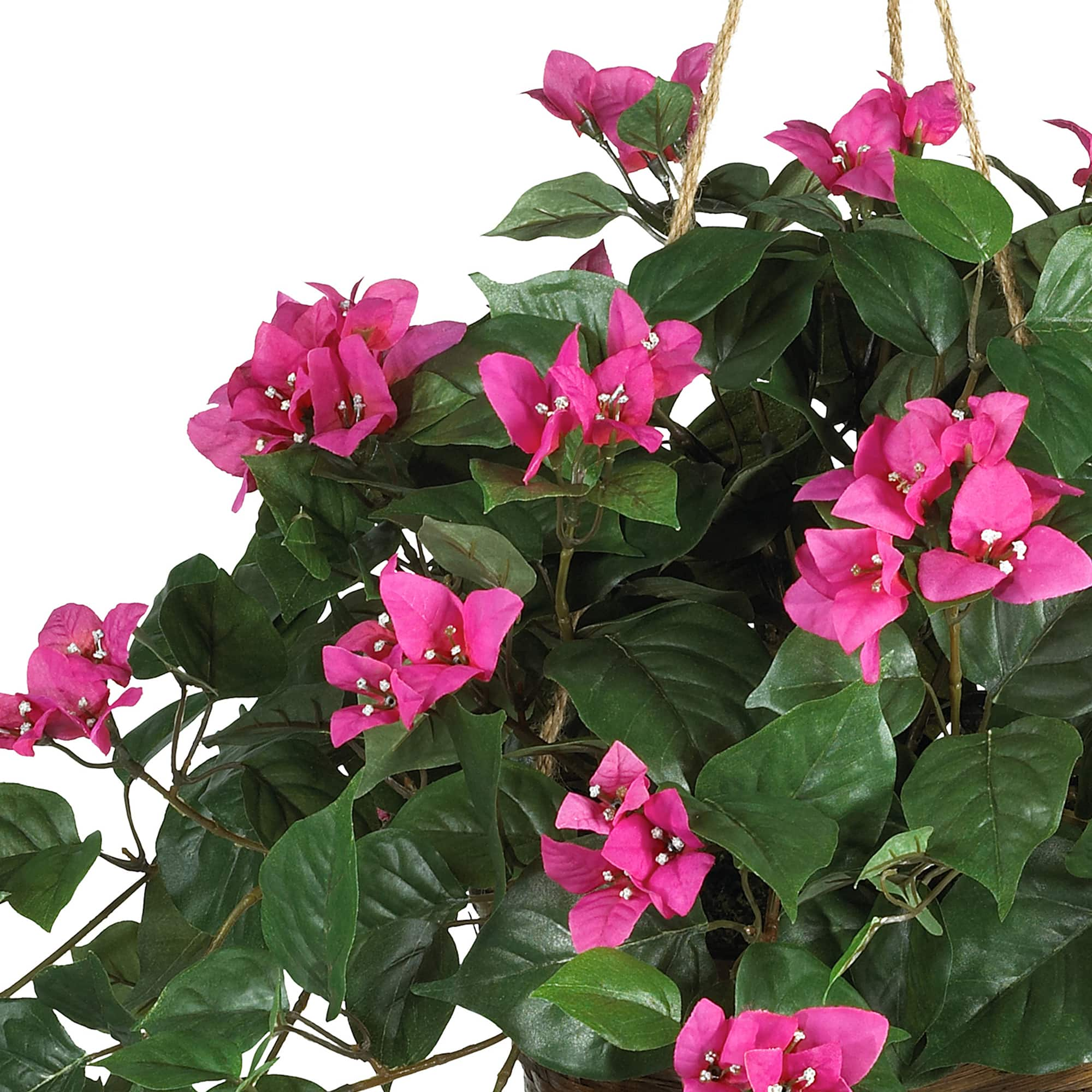 24&#x22; Pink Bougainvillea Hanging Basket