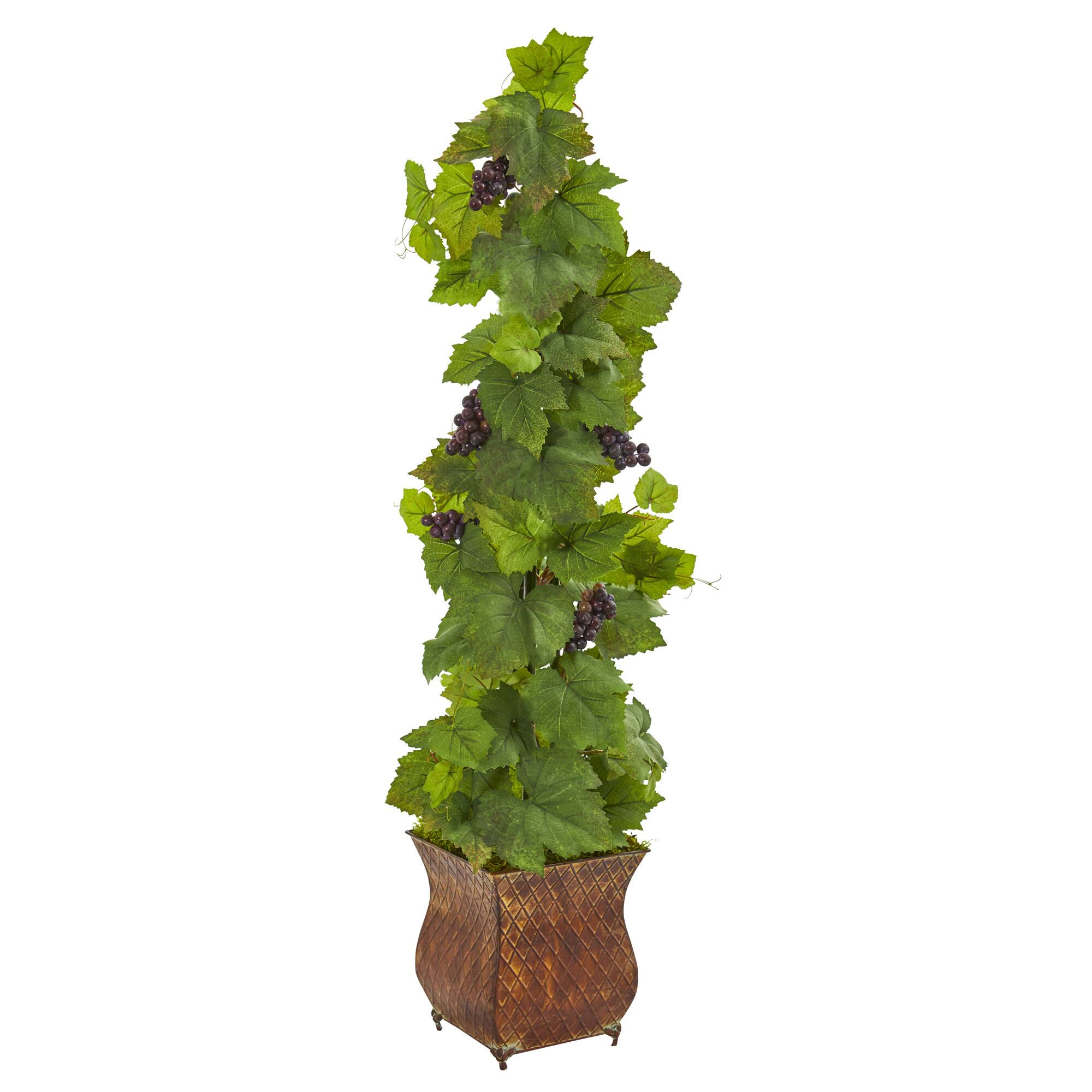 4ft. Grape Plant in Square Metal Planter Michaels