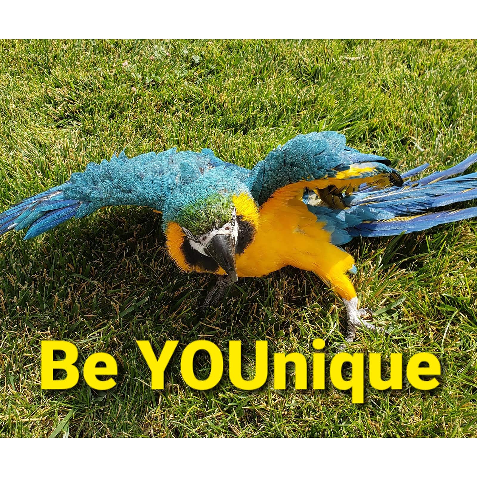 Sparkly Selections Be YOUnique Diamond Painting Kit, Square Diamonds