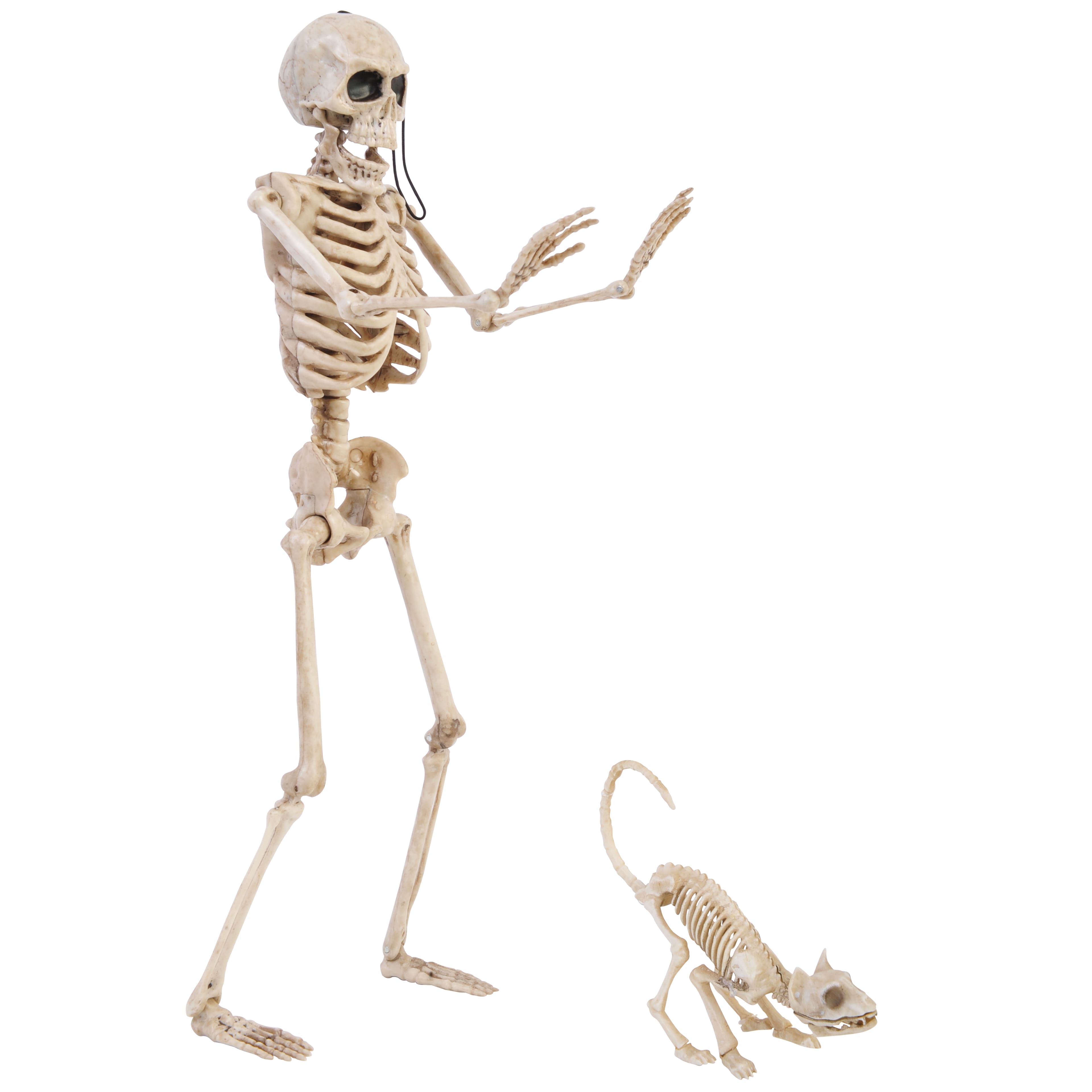 Assorted 15&#x22; Skeleton Pet Walker by Ashland&#xAE;, 1pc.