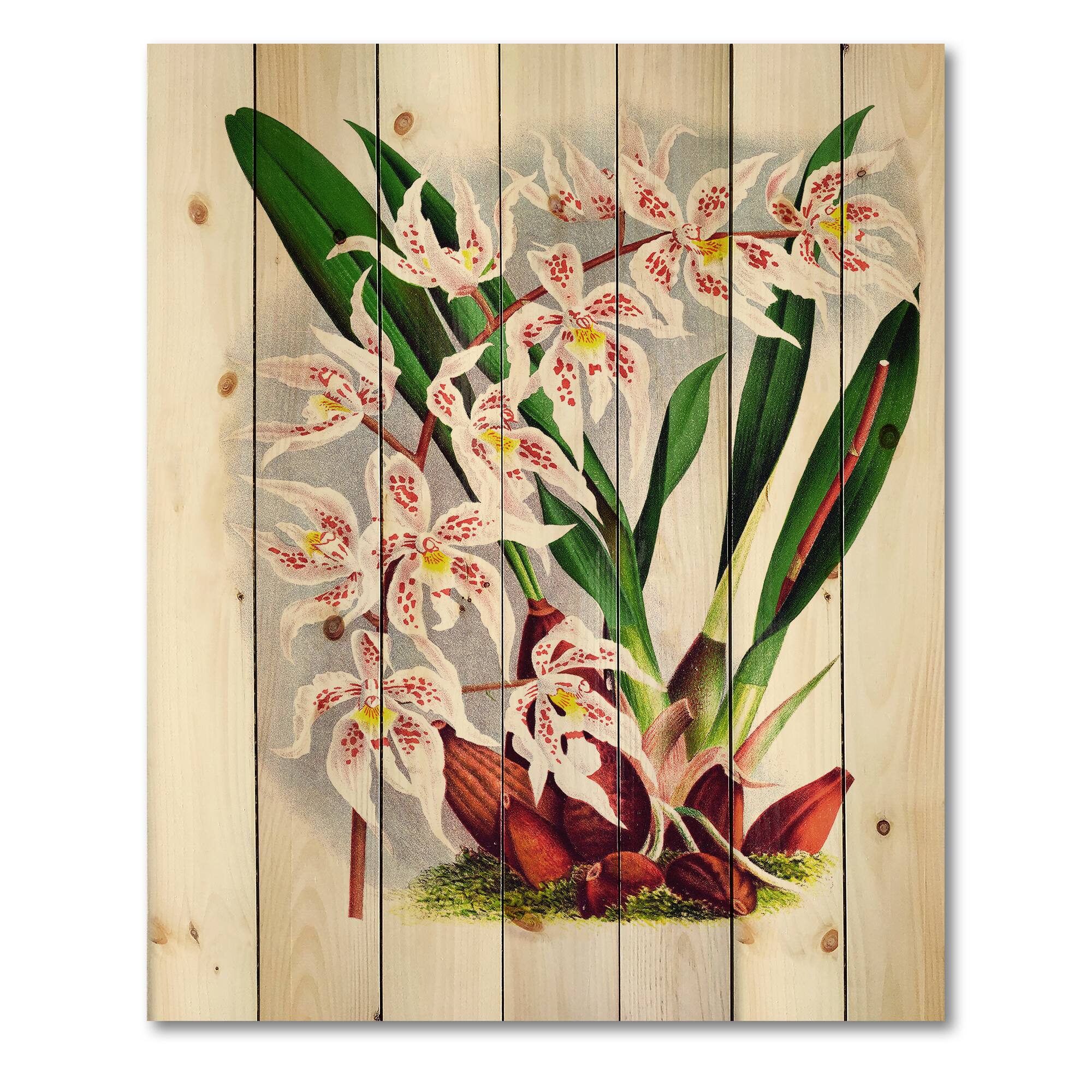 Designart - Vintage White Orchid Flower II - Traditional Print on Natural Pine Wood