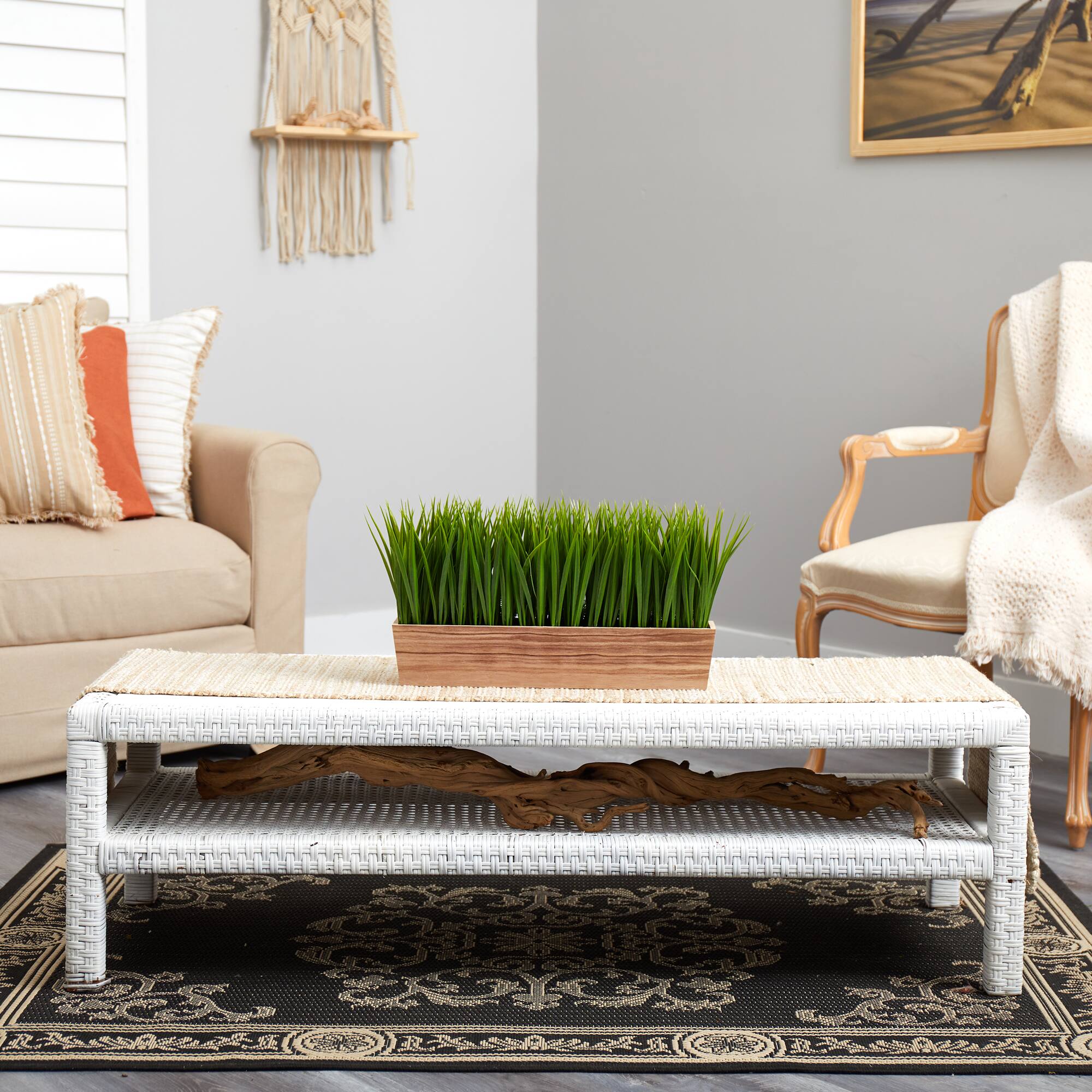 10&#x22; Vanilla Grass Plant in Decorative Planter
