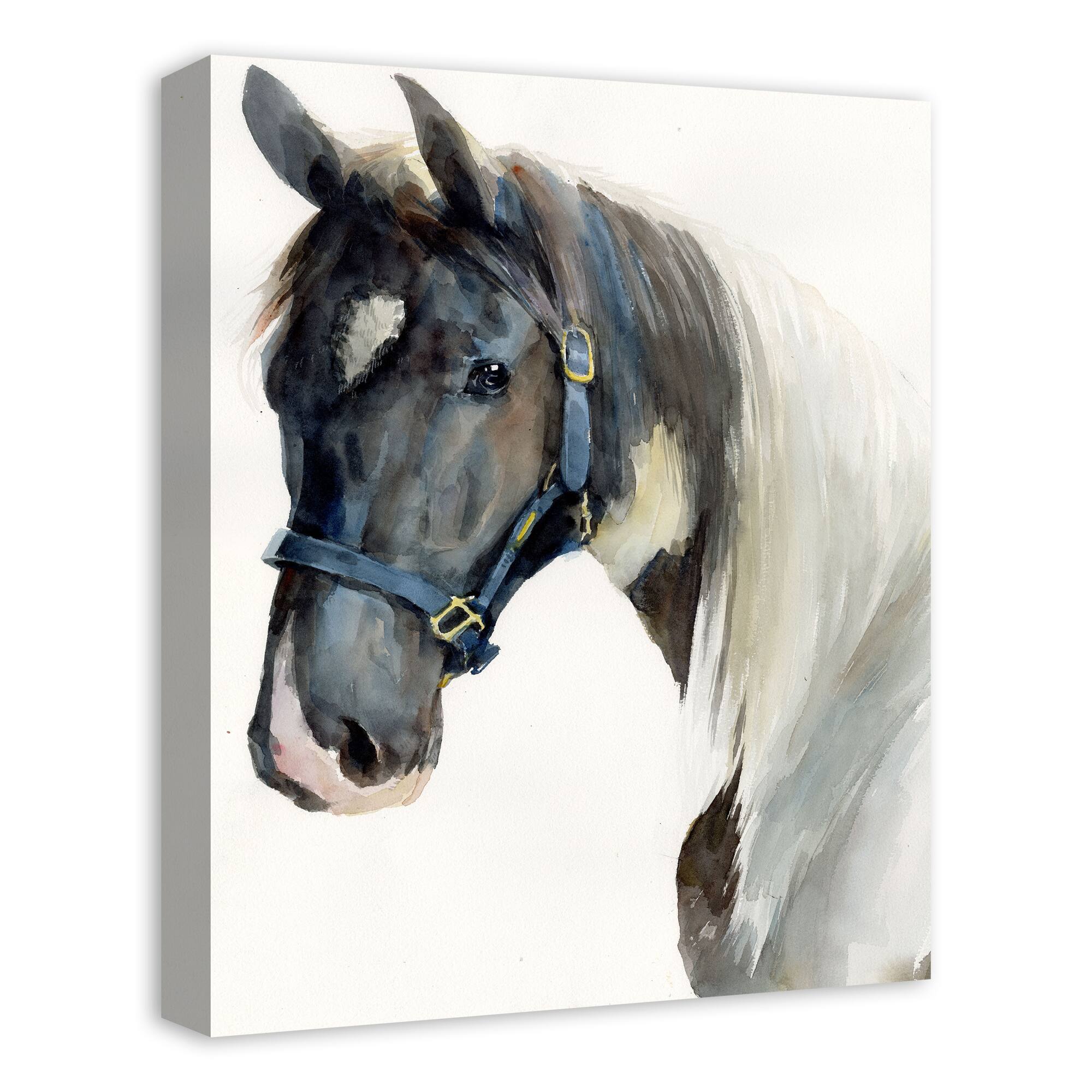 Painted Horse 16" x 20" Canvas Wall Art