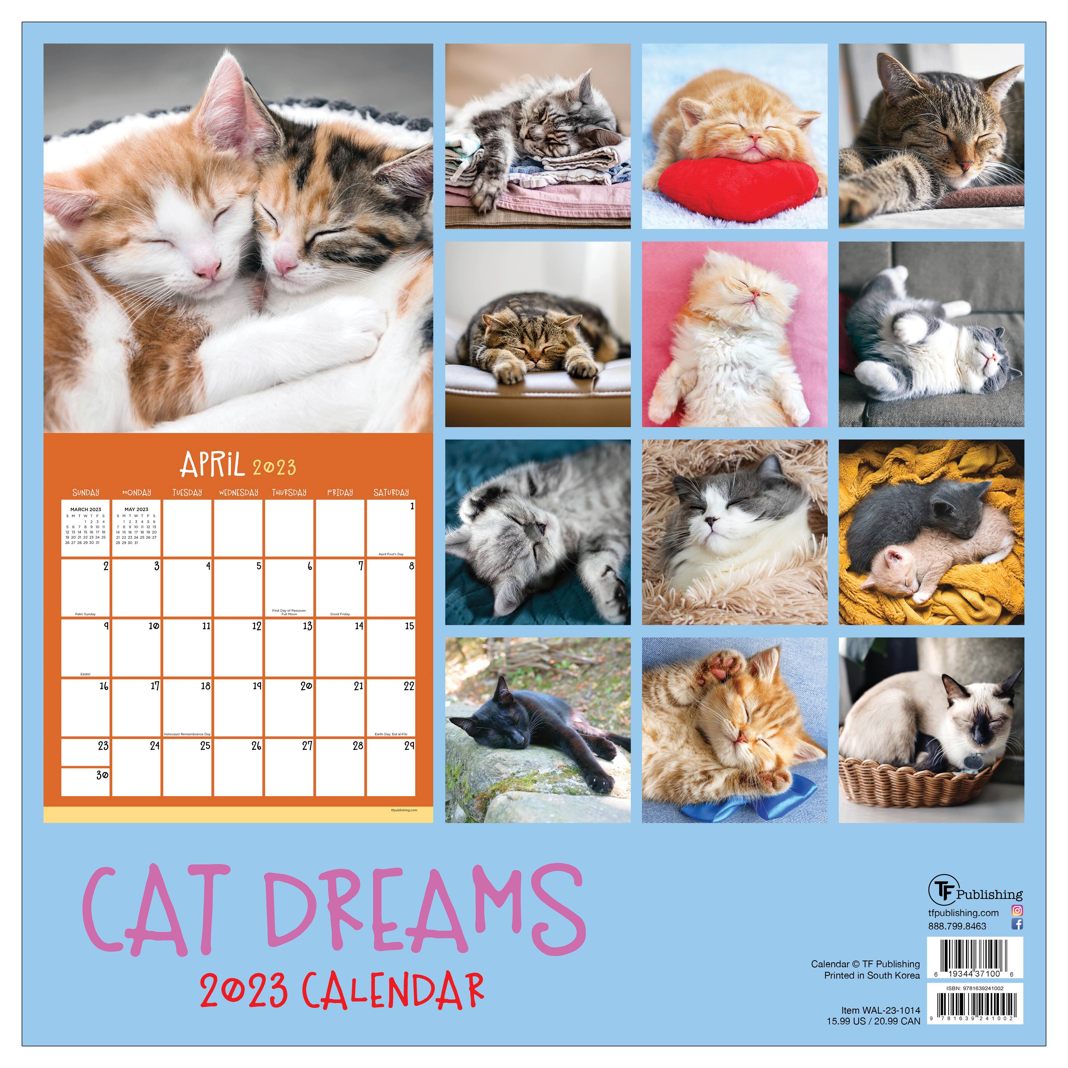 2023 Cat Dreams Wall Calendar | Michaels 2023 Cat Dreams Wall Calendar | Michaels