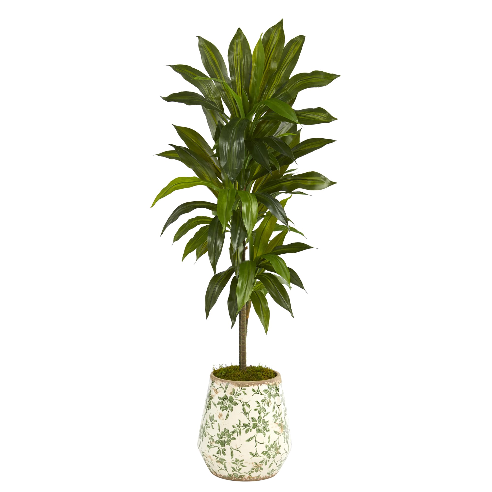 4ft. Dracaena Plant in Flower Print Planter
