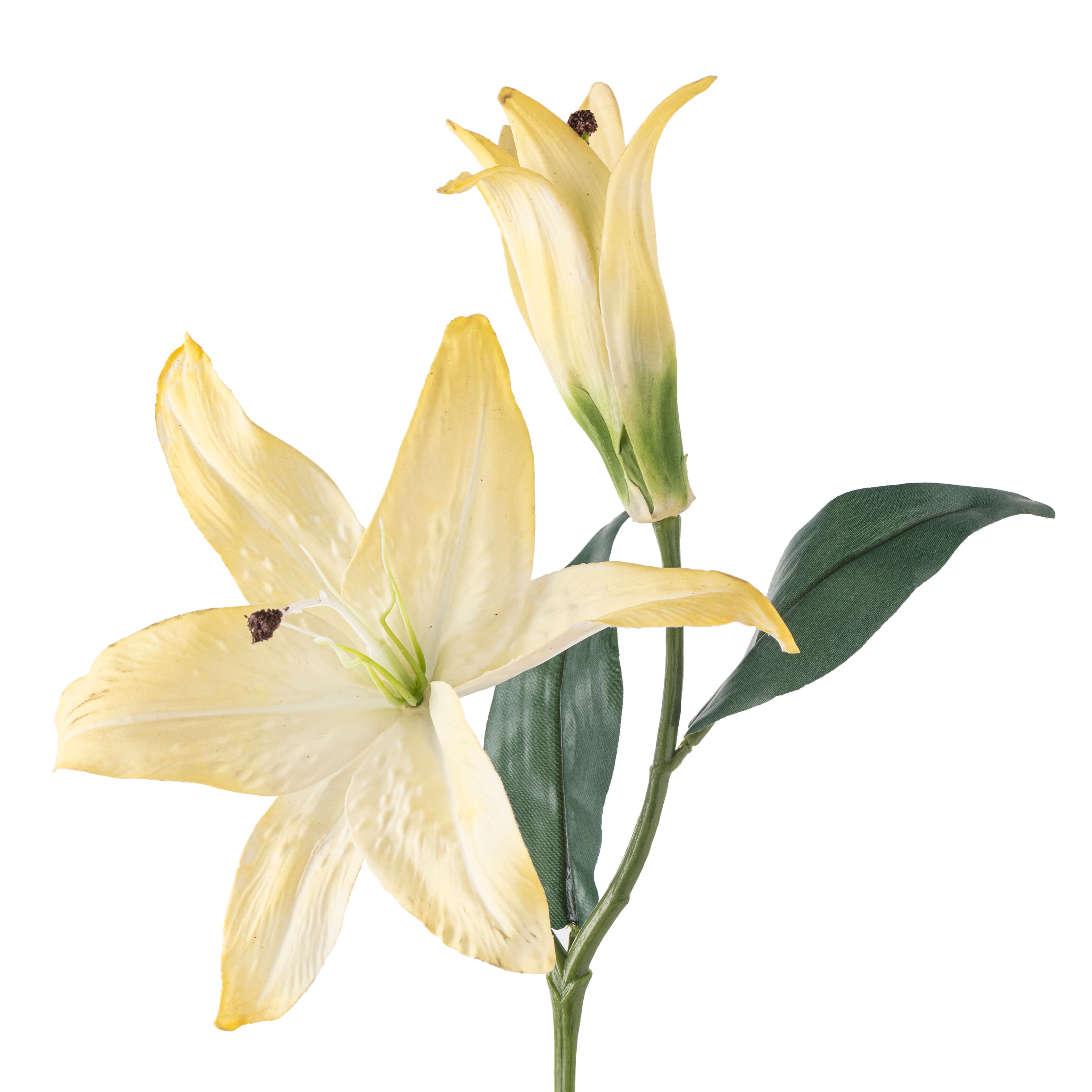 12 Pack: White Casablanca Lily Stem by Ashland&#xAE;