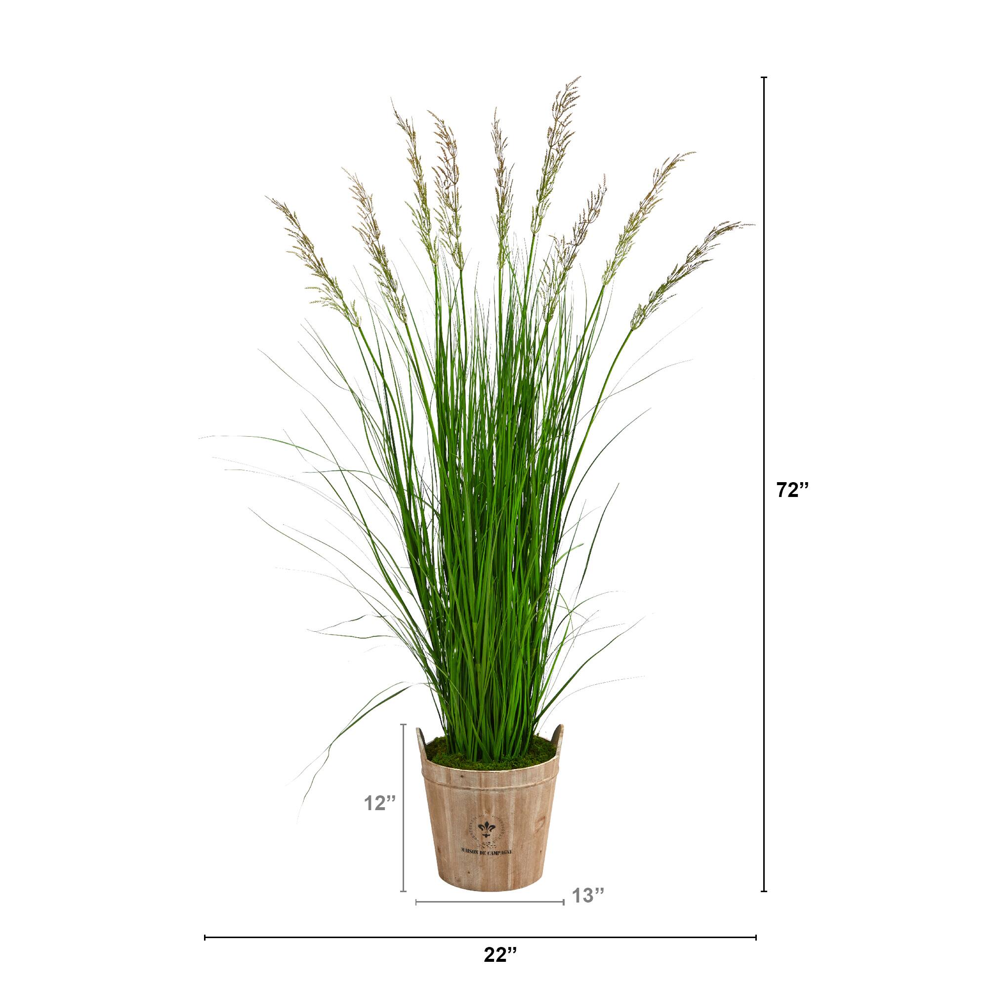 6ft. Grass Plant in Farmhouse Planter