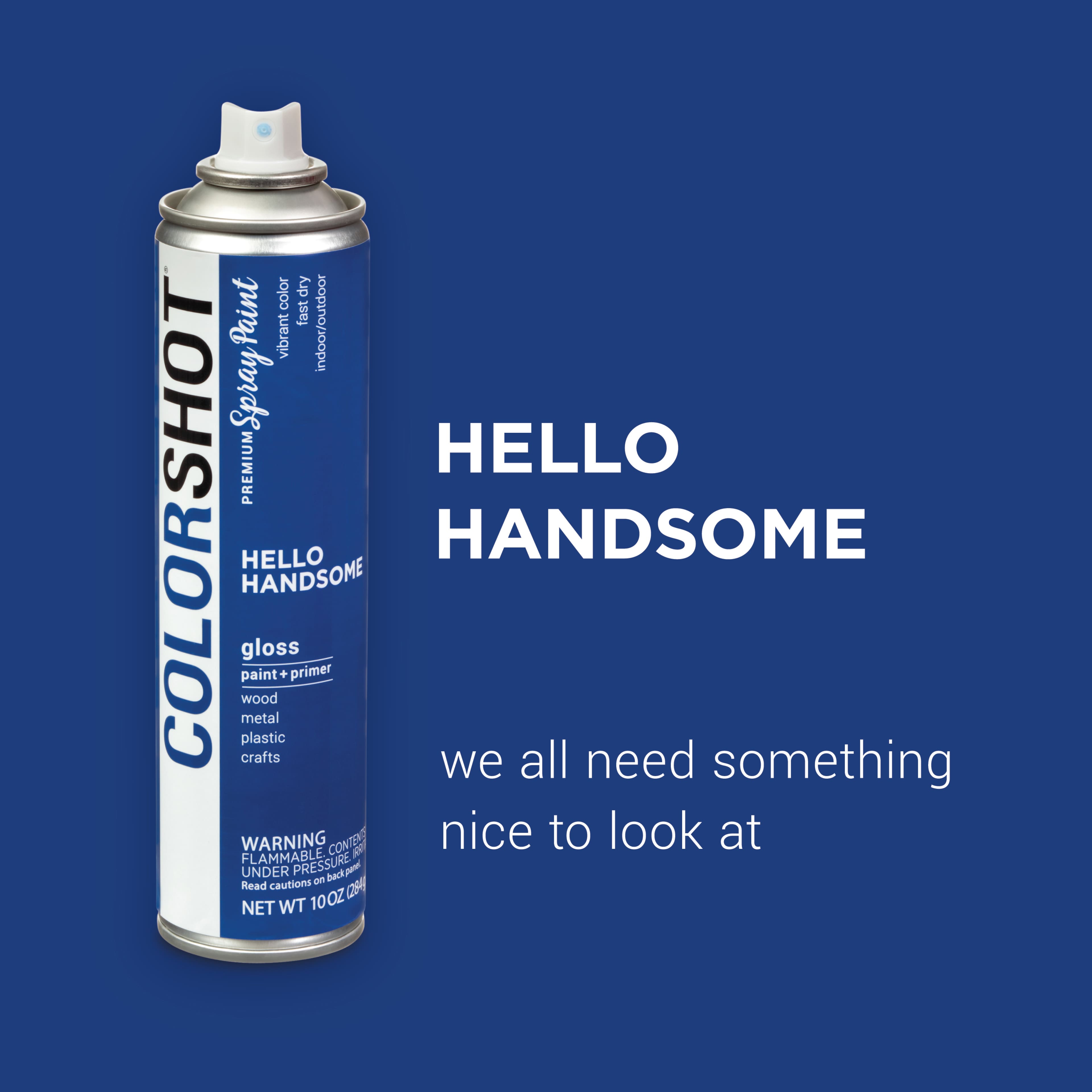 COLORSHOT&#xAE; Premium Gloss Spray Paint