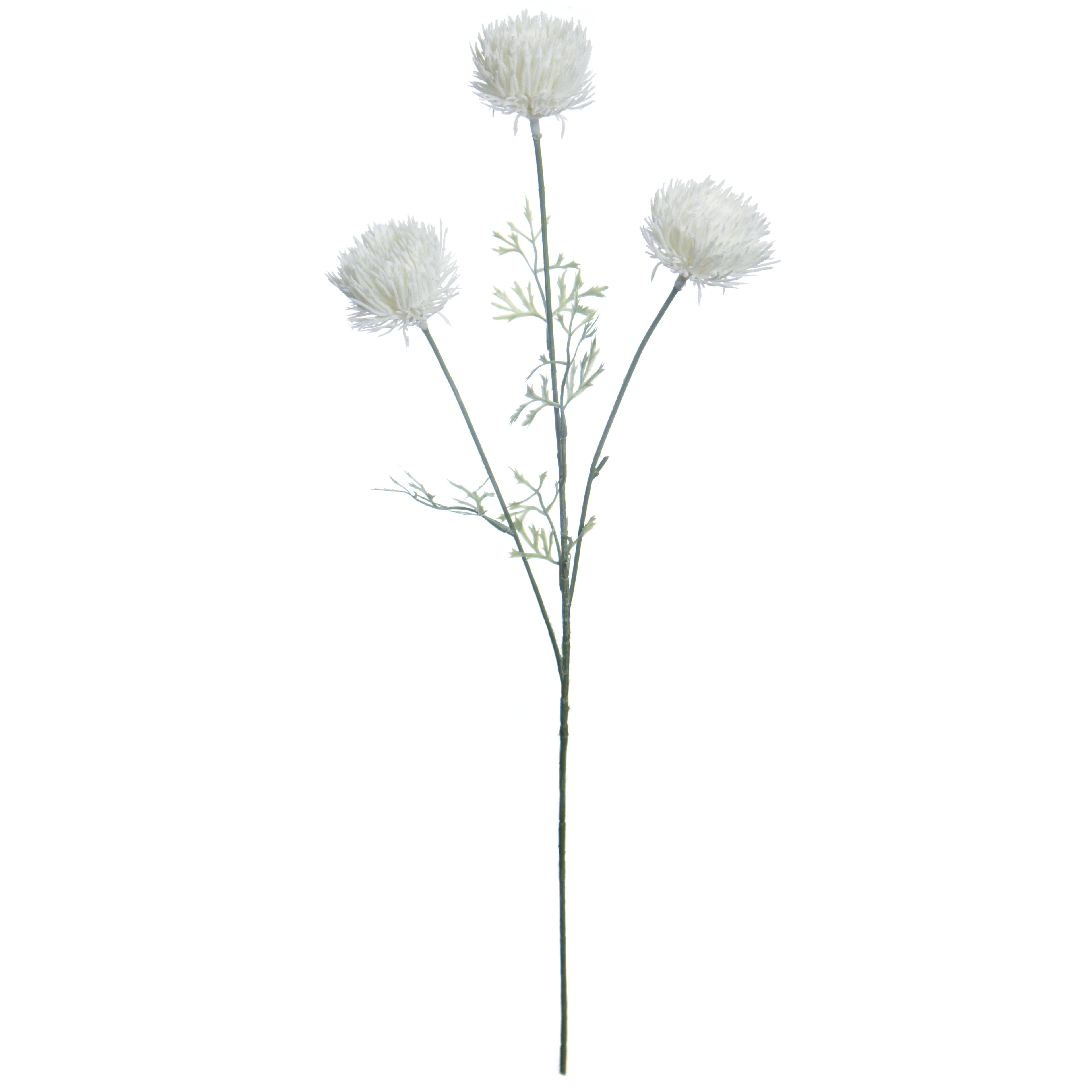24.75&#x22; White Carnations Stem by Ashland&#xAE;
