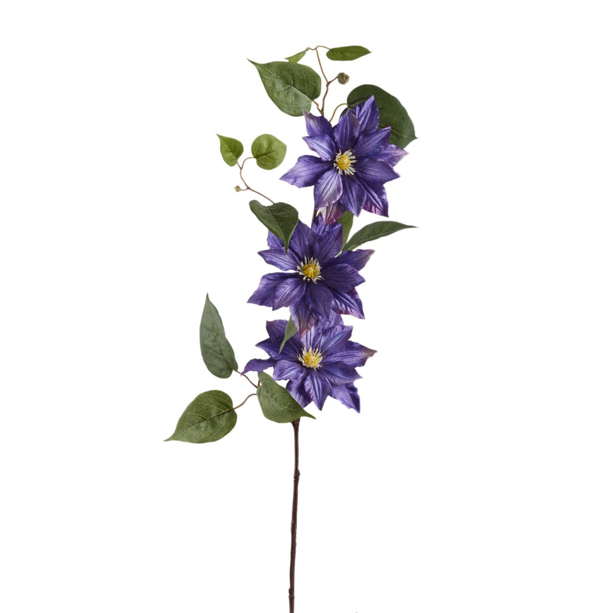 12 Pack: Purple Clematis Stem by Ashland&#xAE;