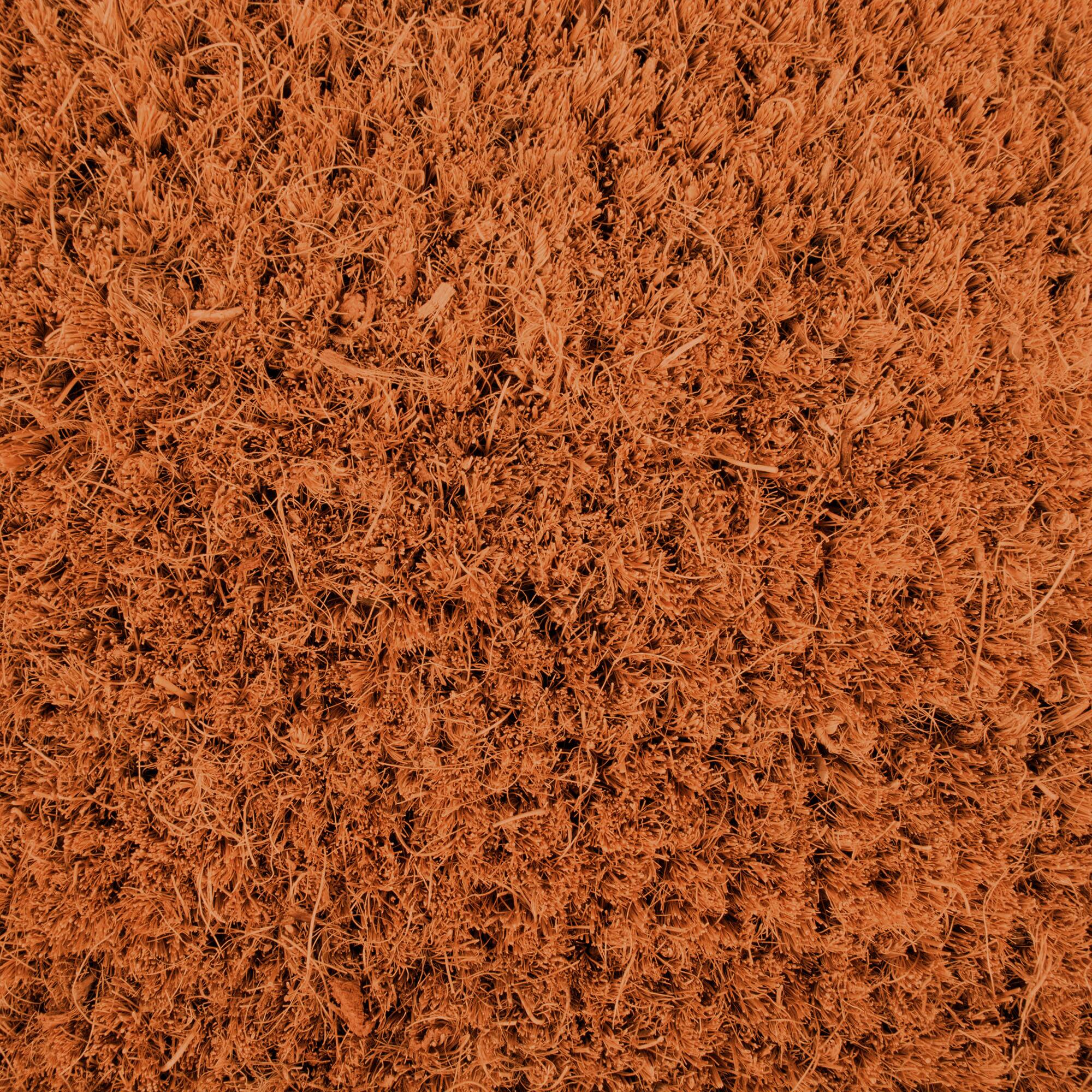 DII&#xAE; Give Thanks Pumpkin Doormat