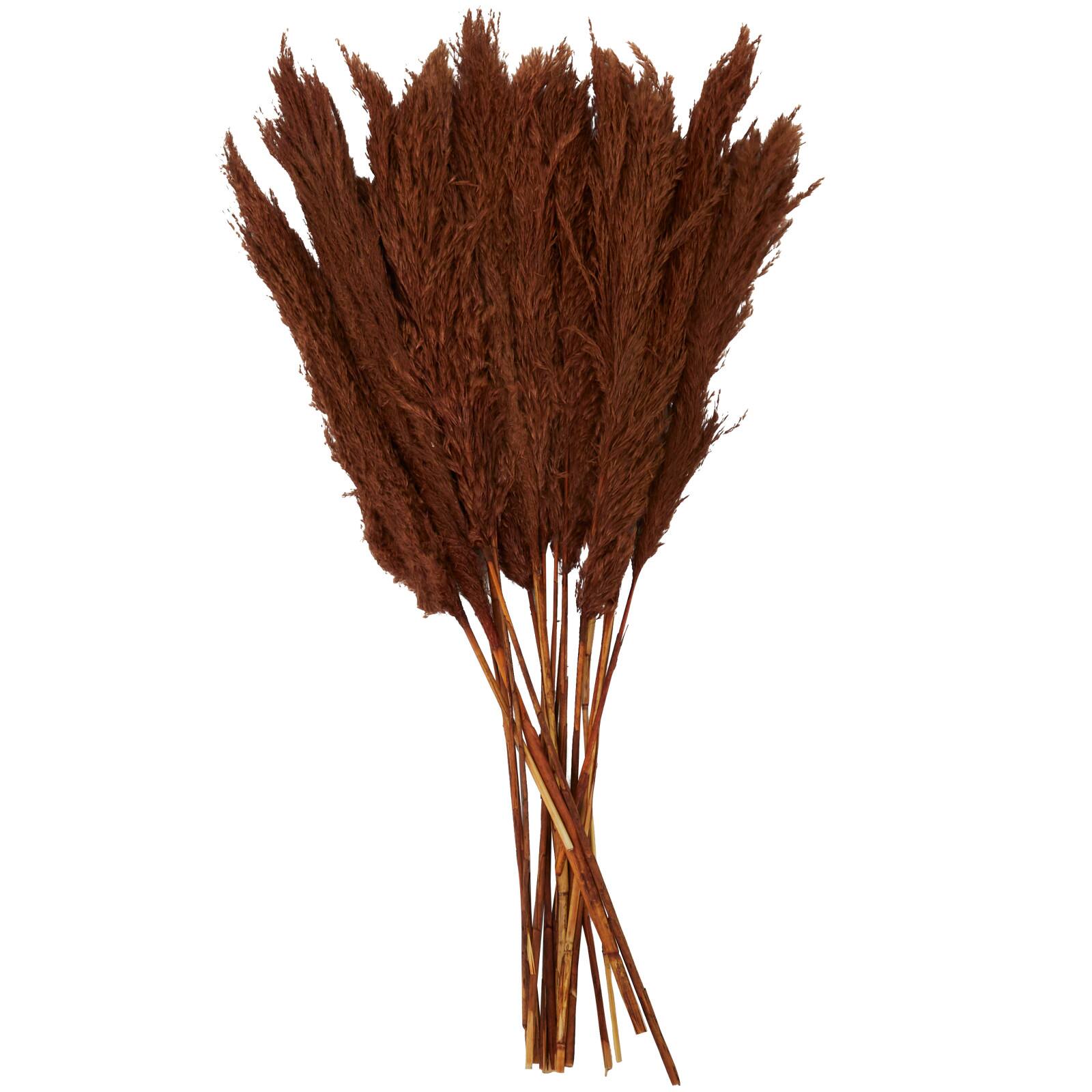 Dried Plant Pampas Natural Foliage with Long Stems