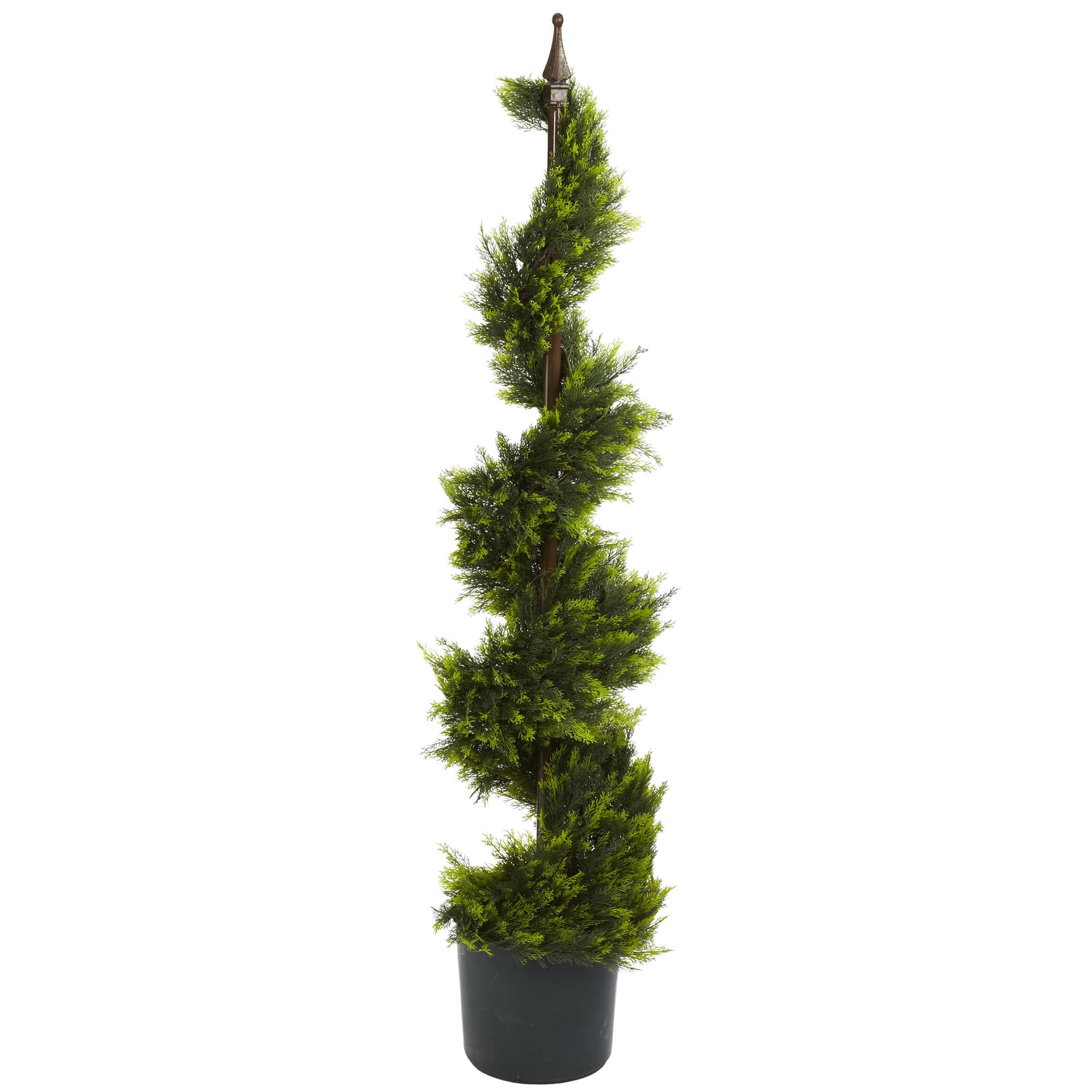 4ft. Potted Cypress Spiral Tree