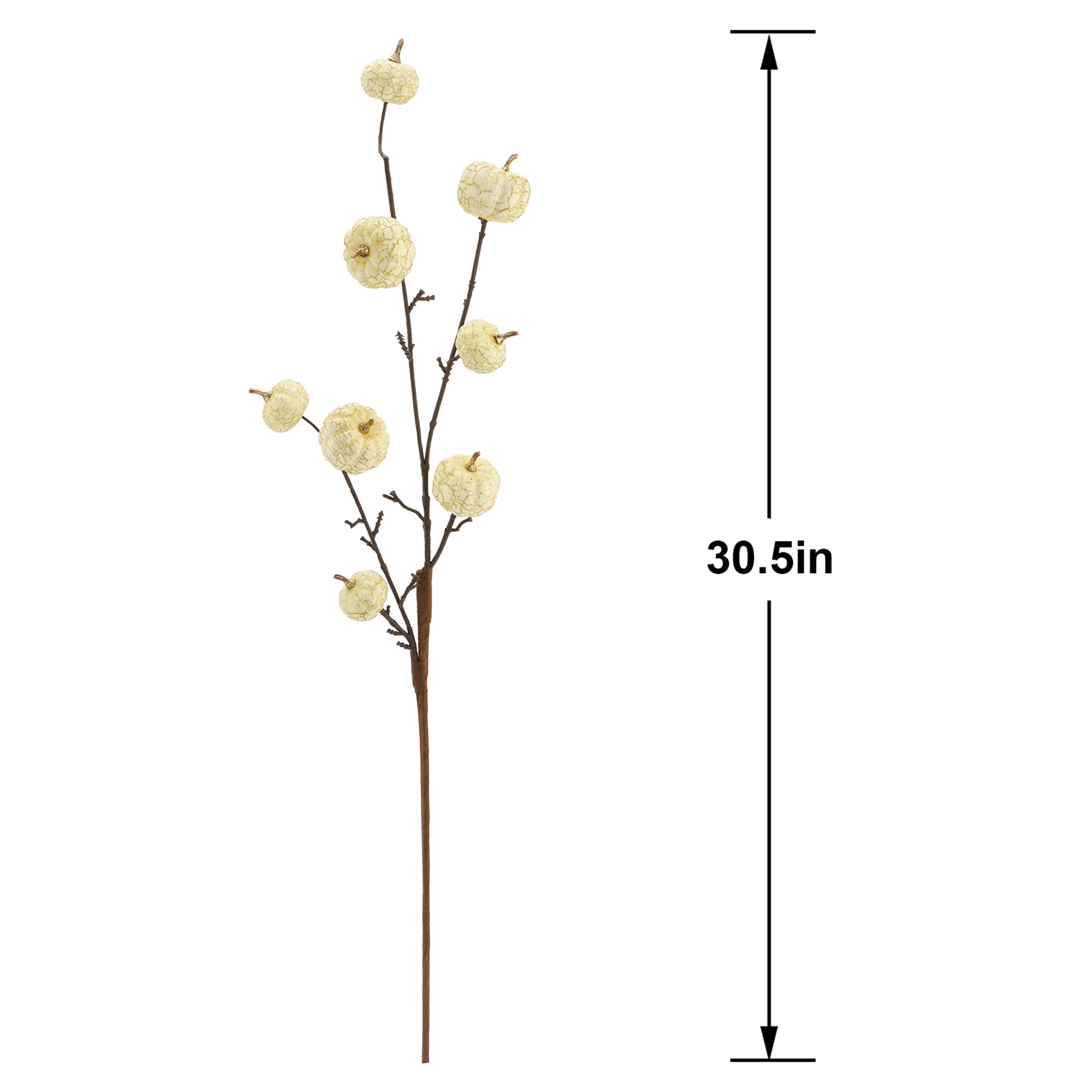 30.5&#x22; Cream Pumpkin Stem by Ashland&#xAE;