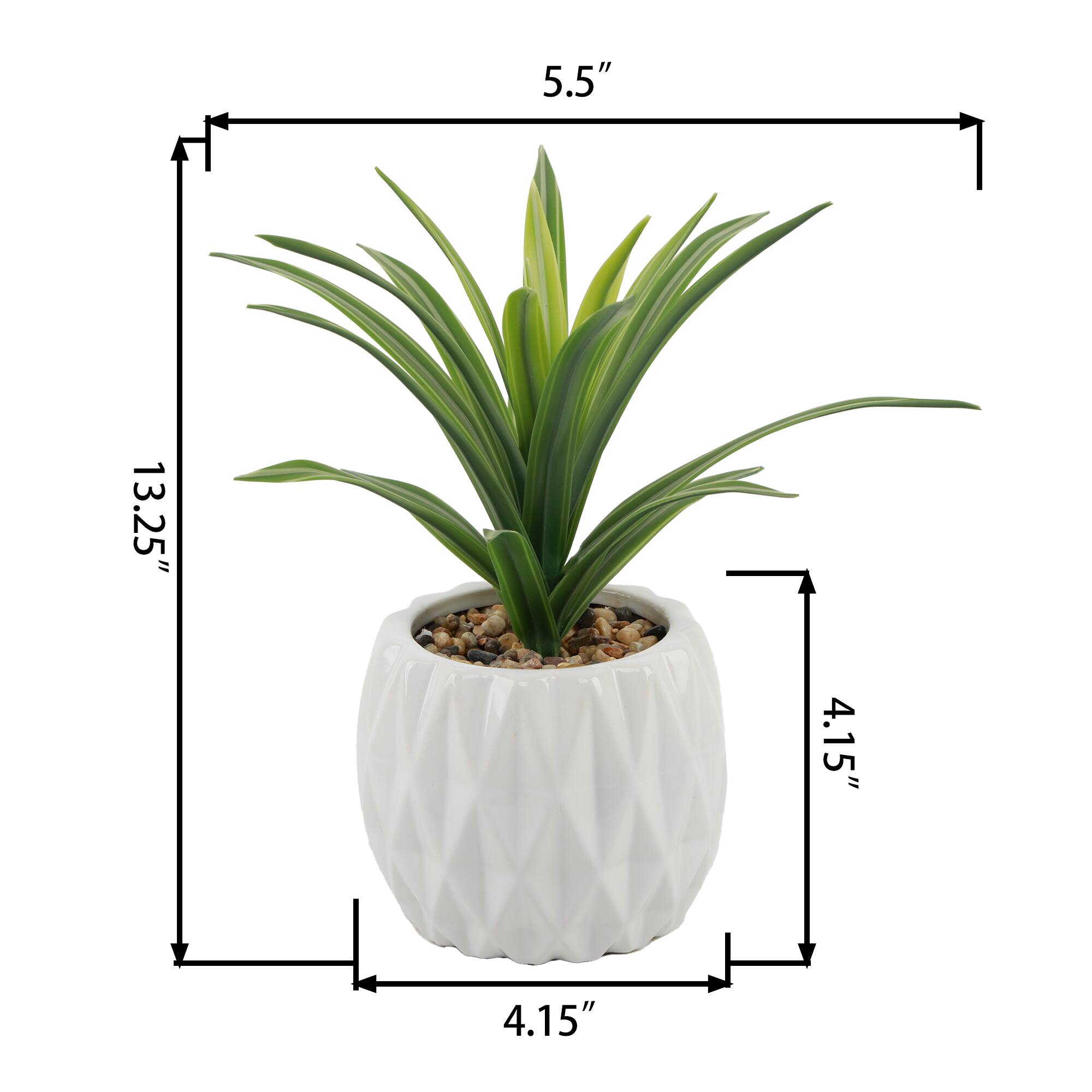 Flora Bunda® 13.5" Green Sedge in Ridge Ceramic Planter