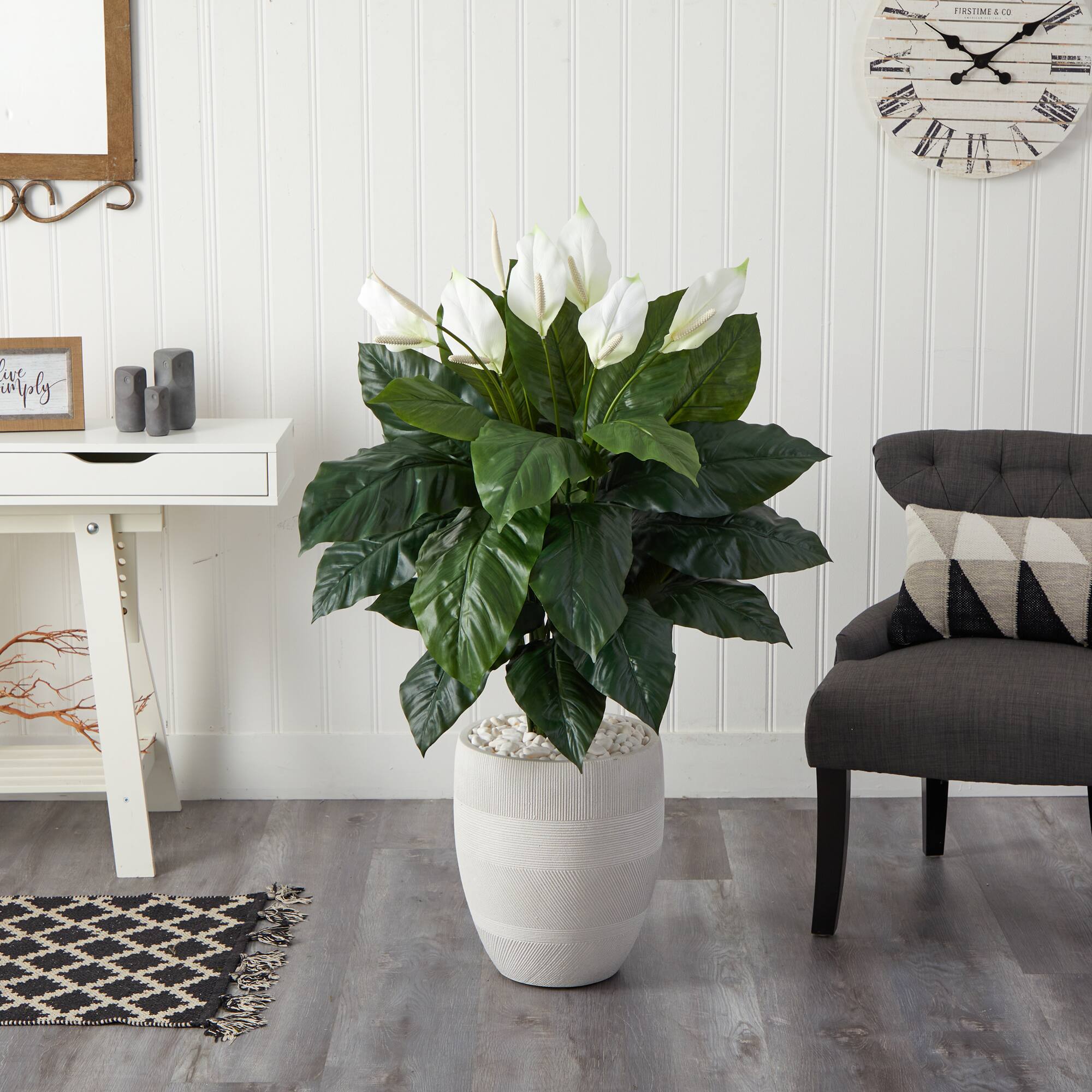 4ft. Peace Lily Plant in White Designer Planter