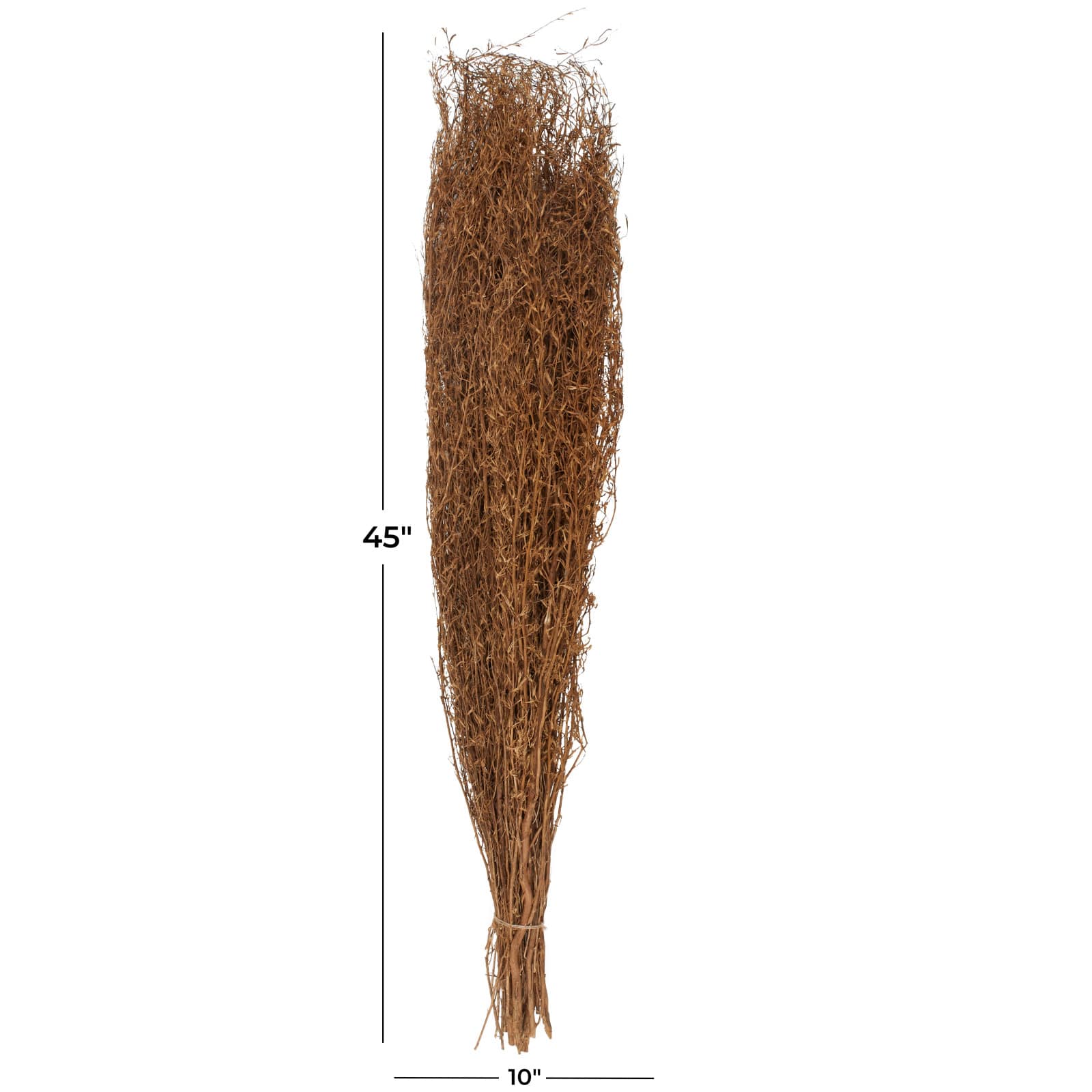 45" Brown Dried Natural Pampas Grass Foliage
