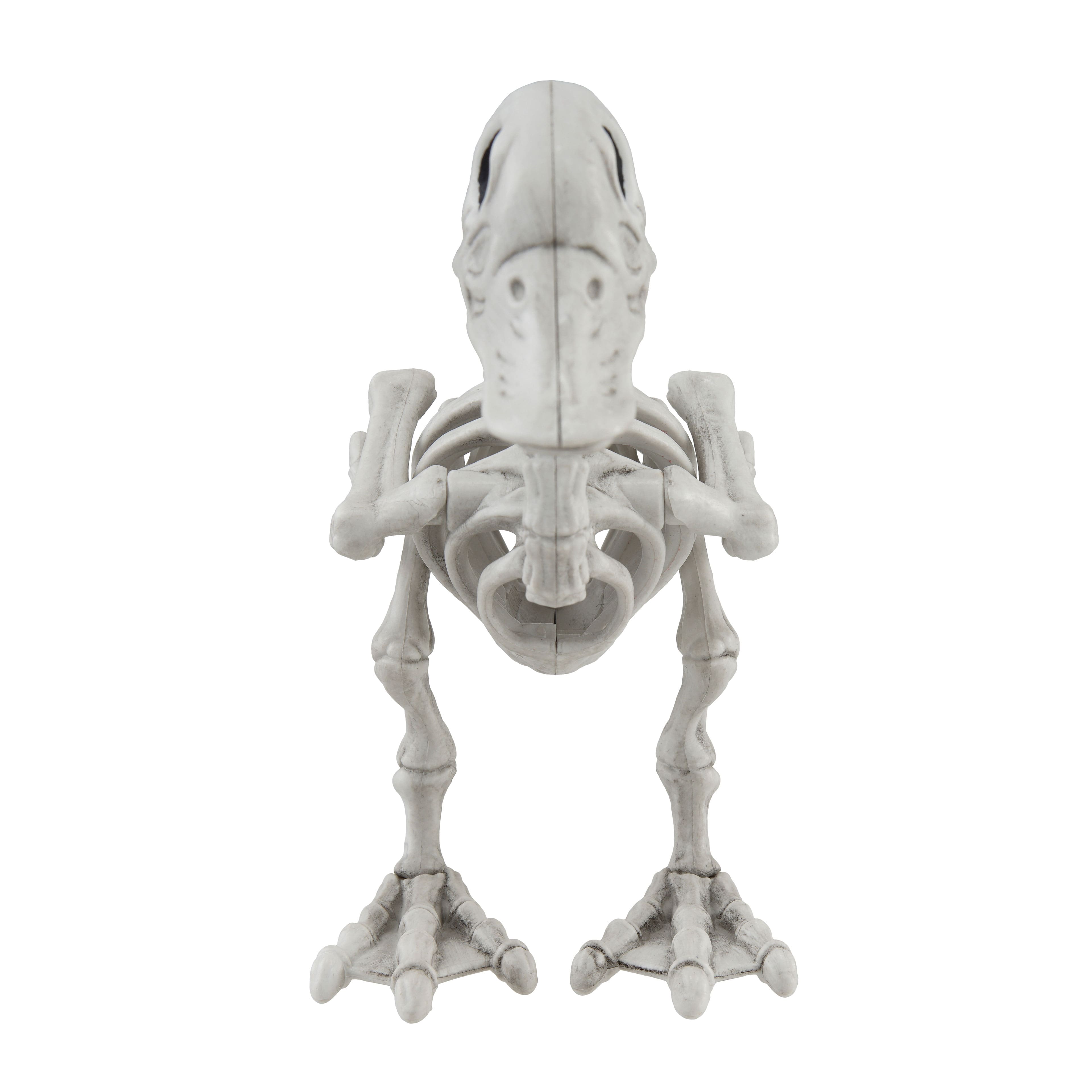 5&#x22; Duck Skeleton D&#xE9;cor by Ashland&#xAE;