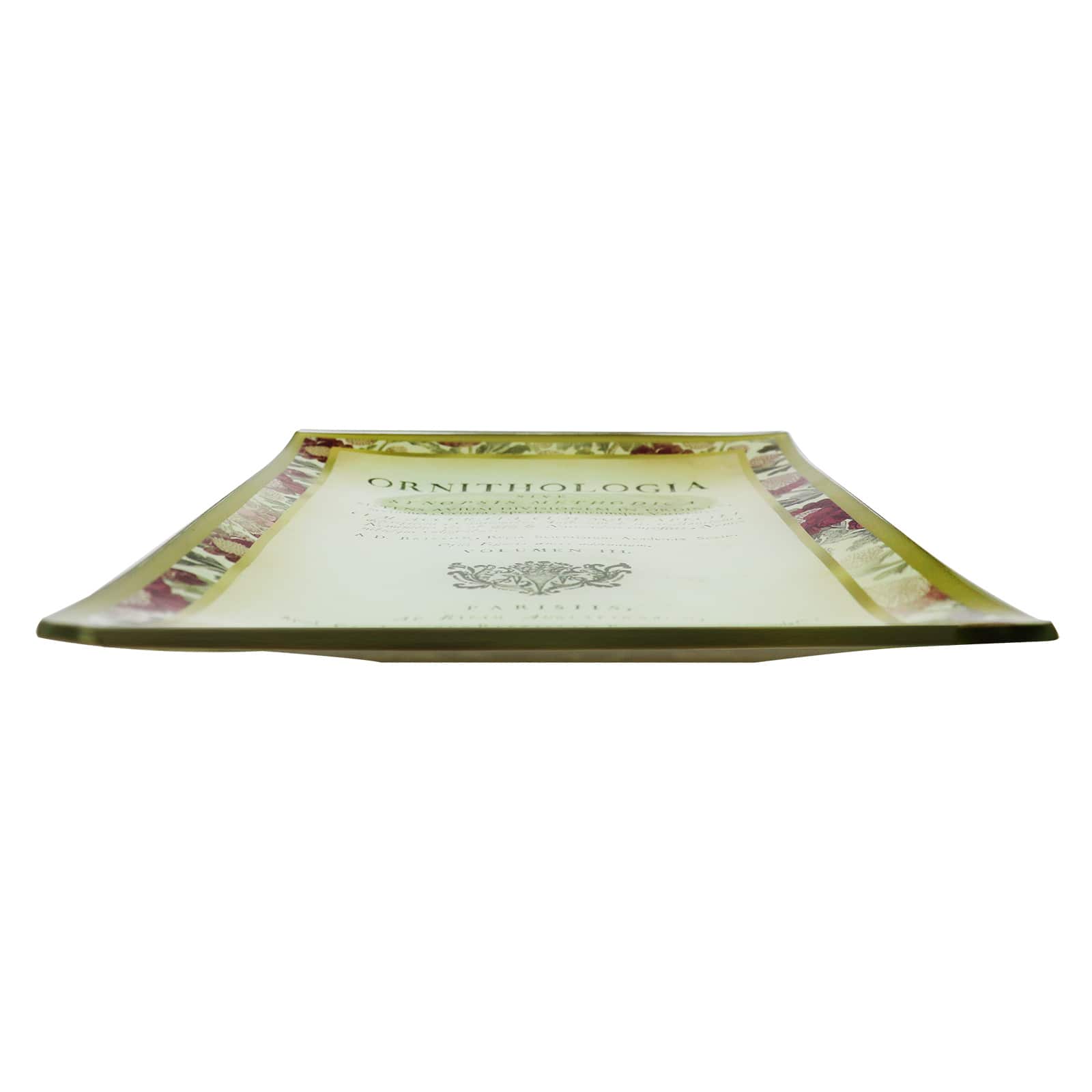 6&#x22; x 9&#x22; Ornithologia Decorative Plate by Ashland&#xAE;