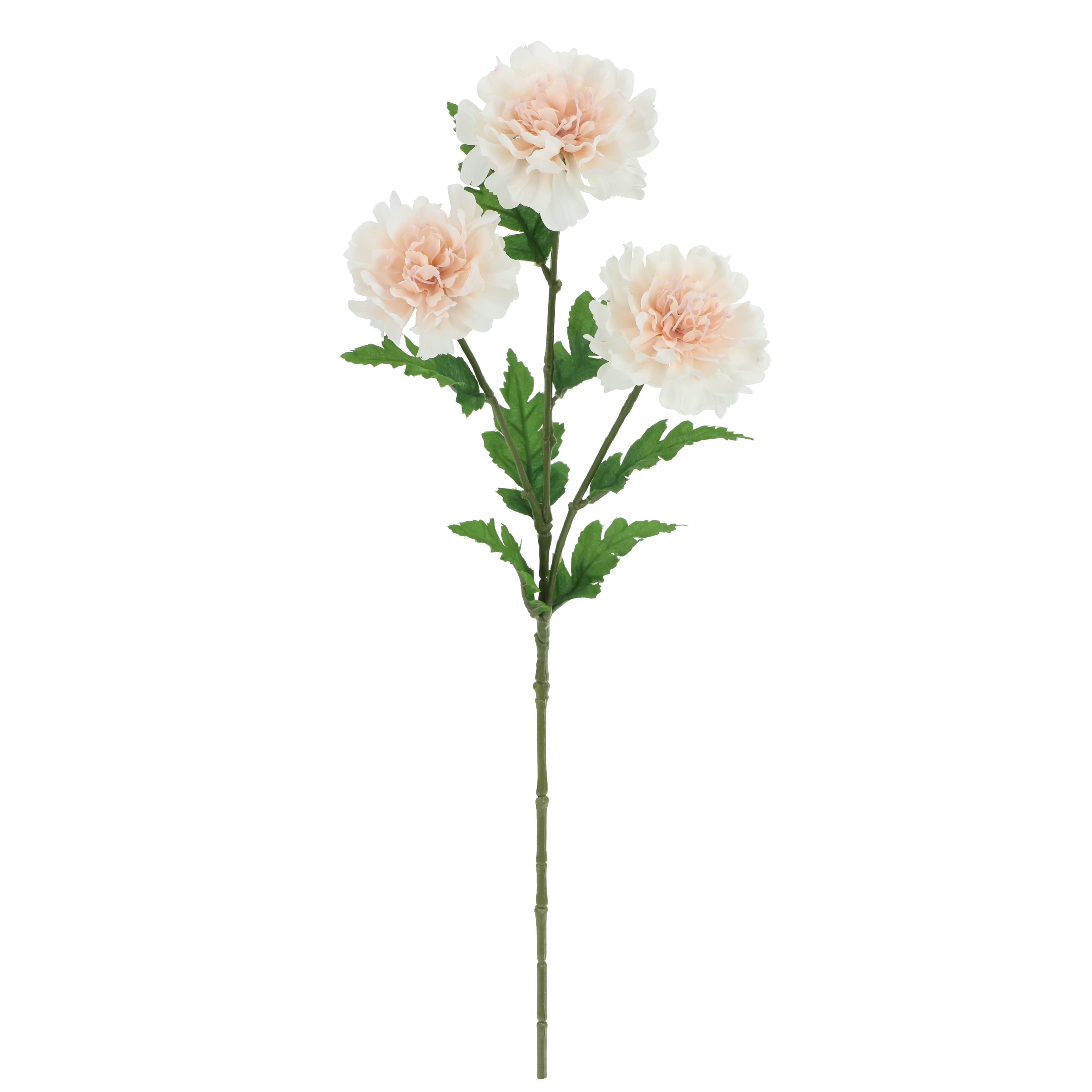 25" Light Pink Scabiosa Stem by Ashland®