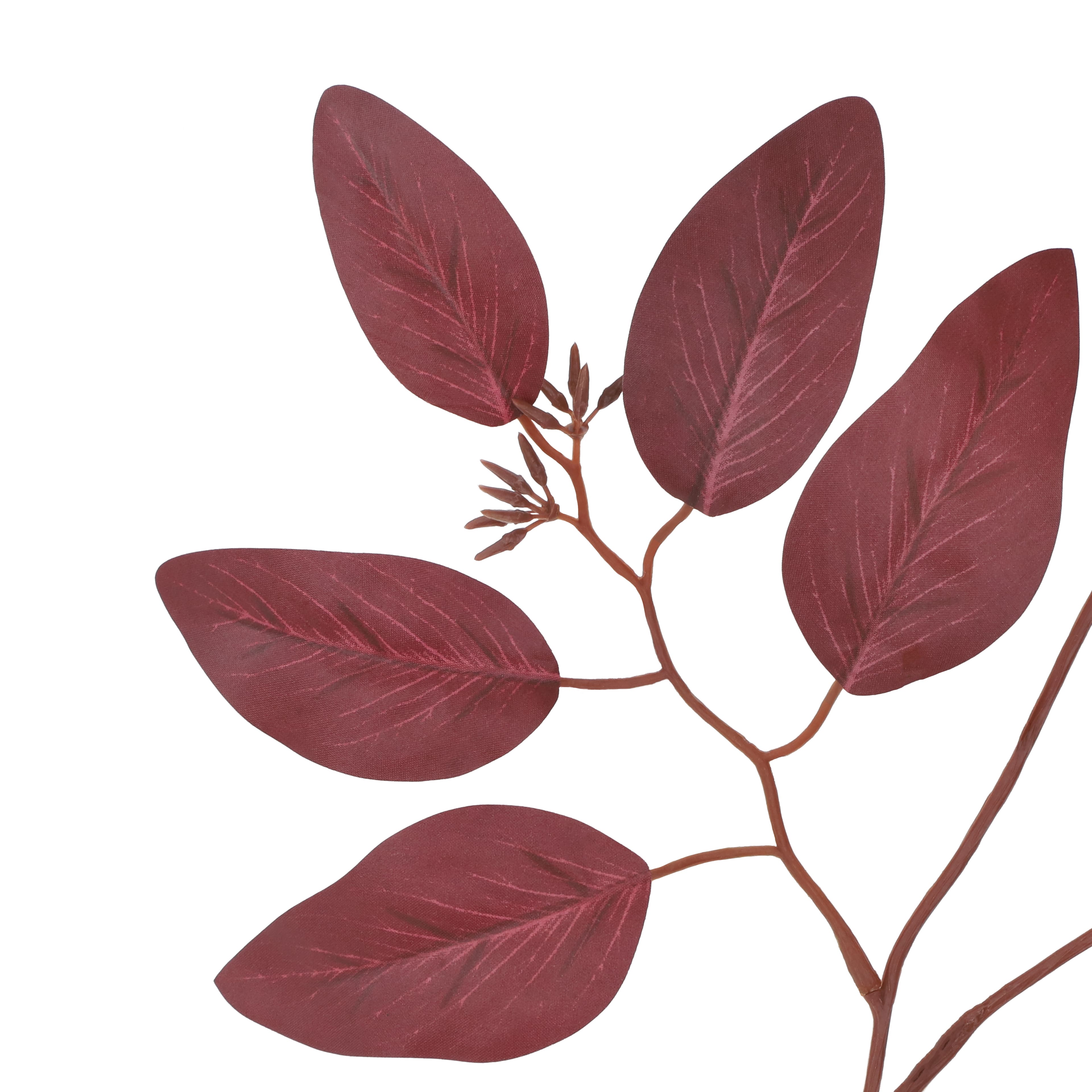 32" Burgundy Eucalyptus Stem by Ashland®