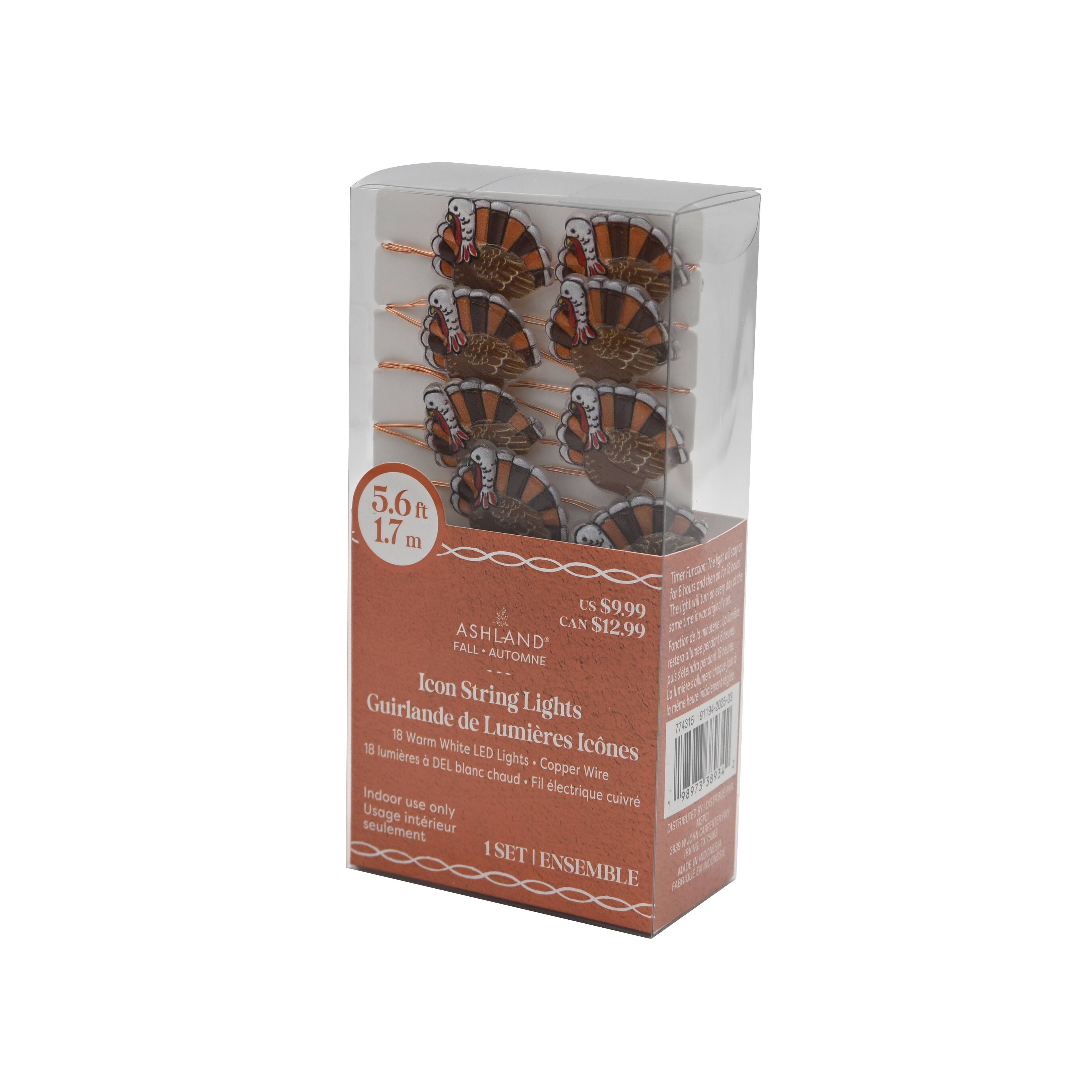 18ct. Warm White LED Turkey Icon String Lights by Ashland®