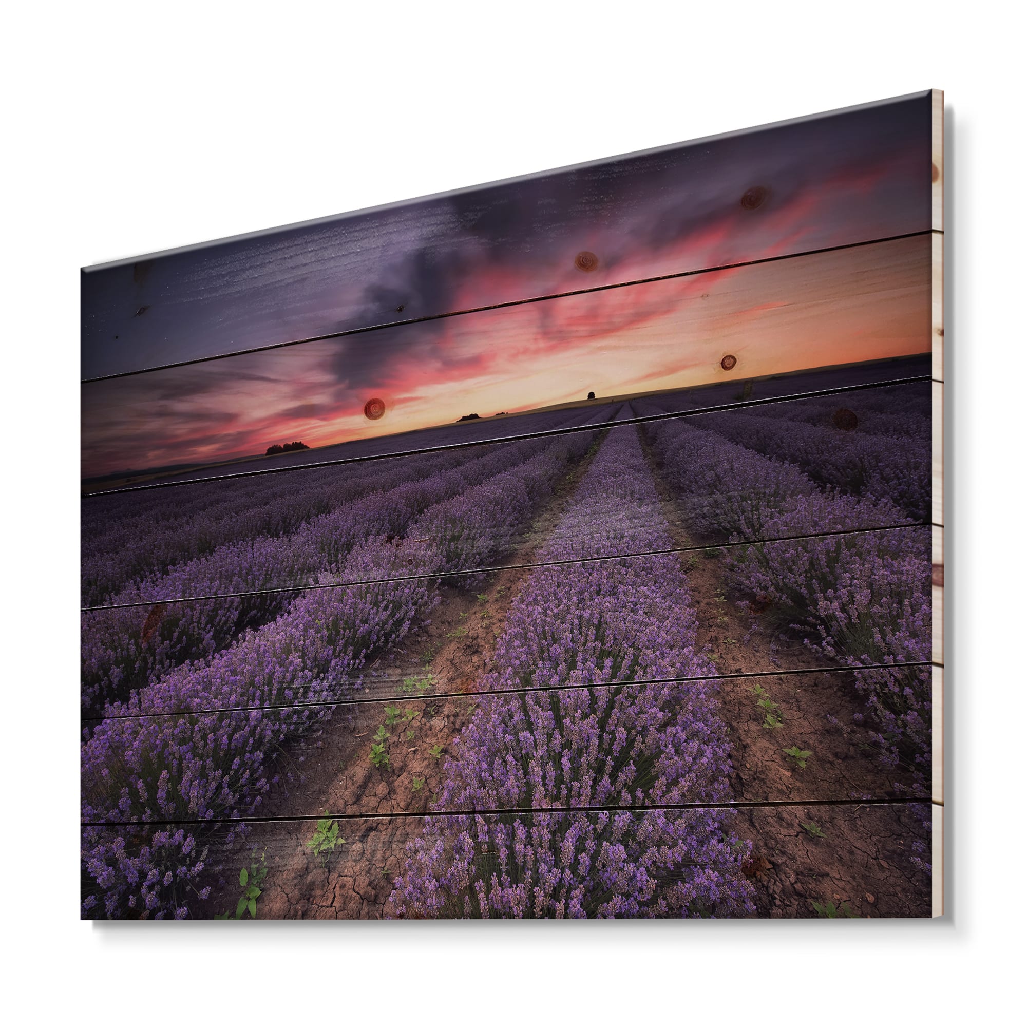 Designart - Sunrise &#x26; Dramatic Clouds Over Lavender Field IX - Farmhouse Print on Natural Pine Wood