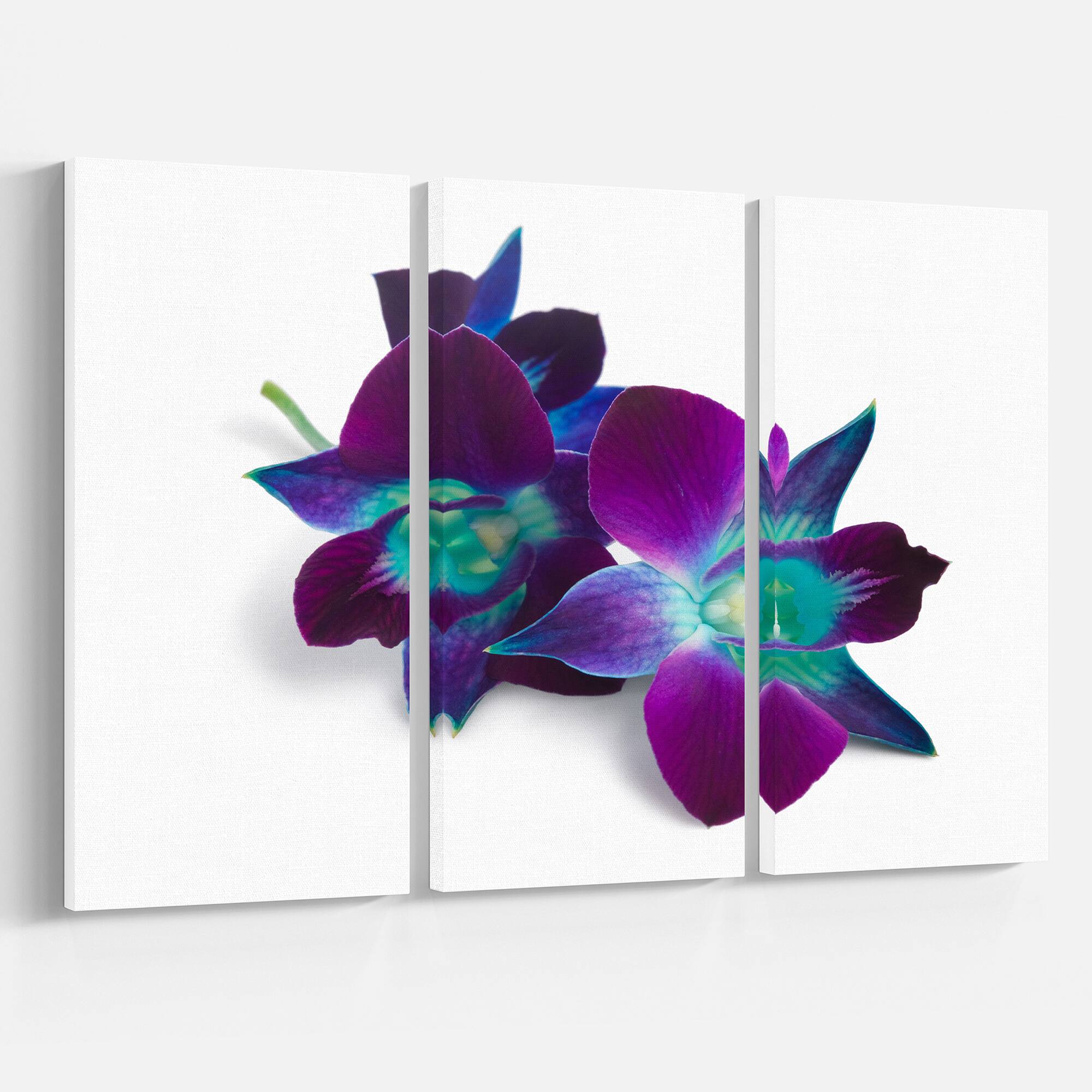 Designart - Deep Purple Orchid Flowers on White