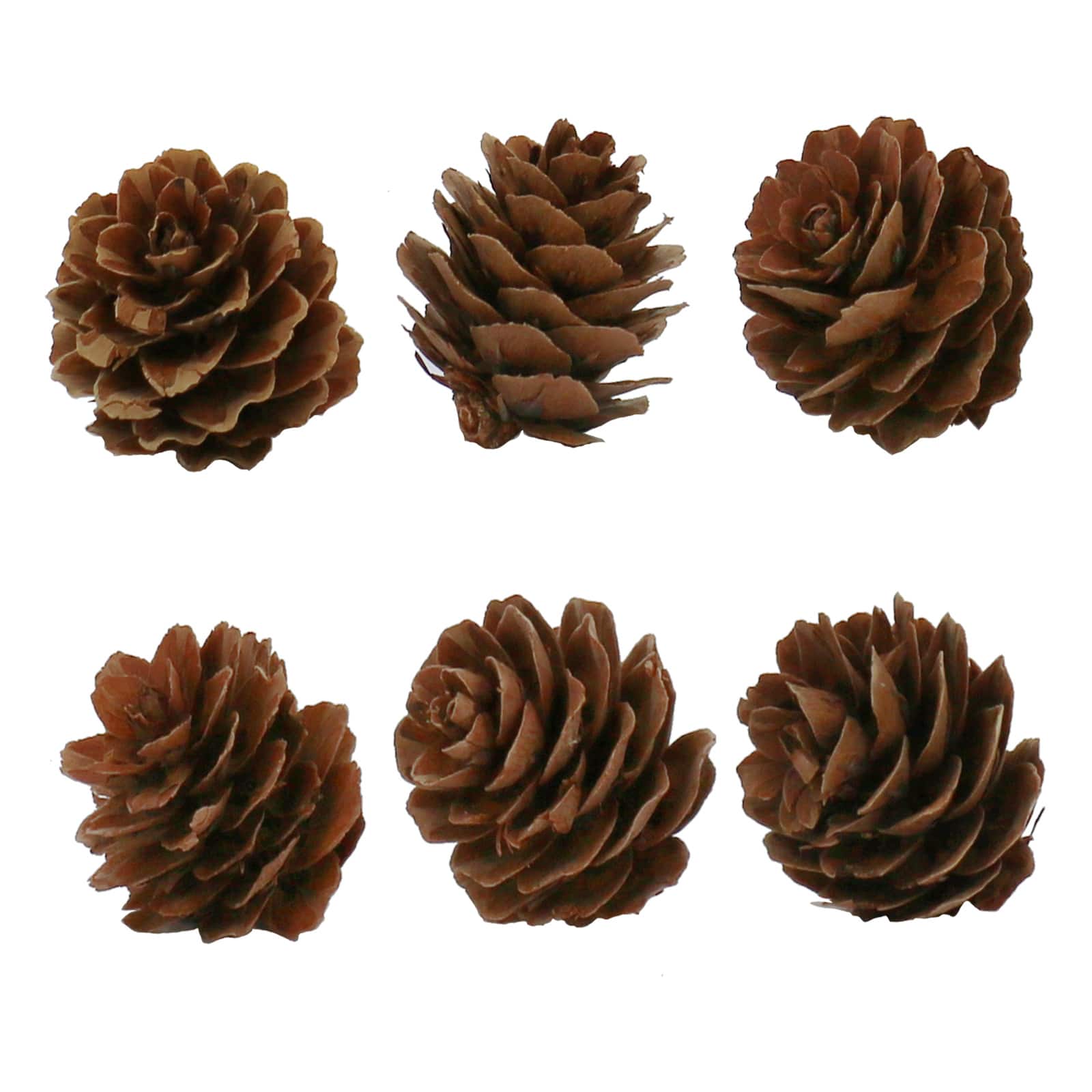 Pumpkin, Pinecone, Maple Leaf &#x26; Berry Mix, 14ct. by Ashland&#xAE;
