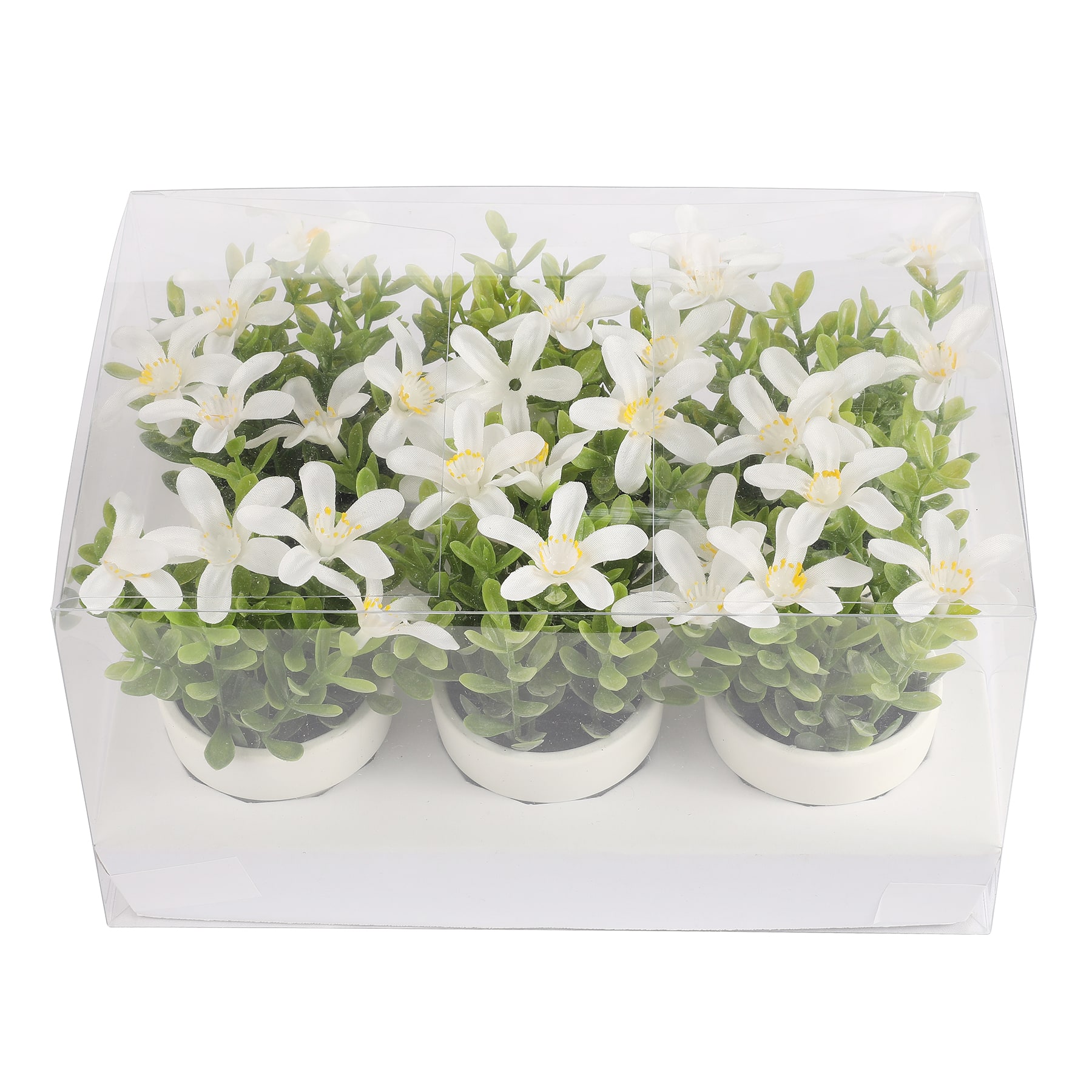 Mini Premade Boxwood Blooms in Terra Cotta Pots, 6ct. by Ashland&#xAE;